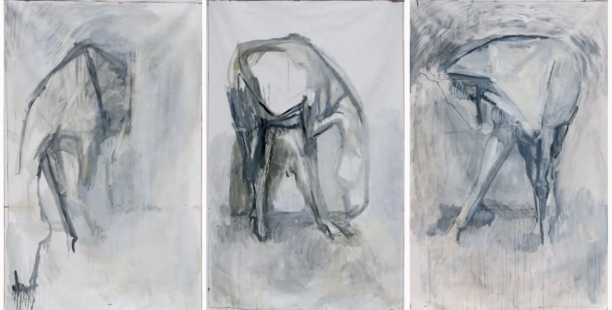 equine white & black Alexandra Torres.jpg
