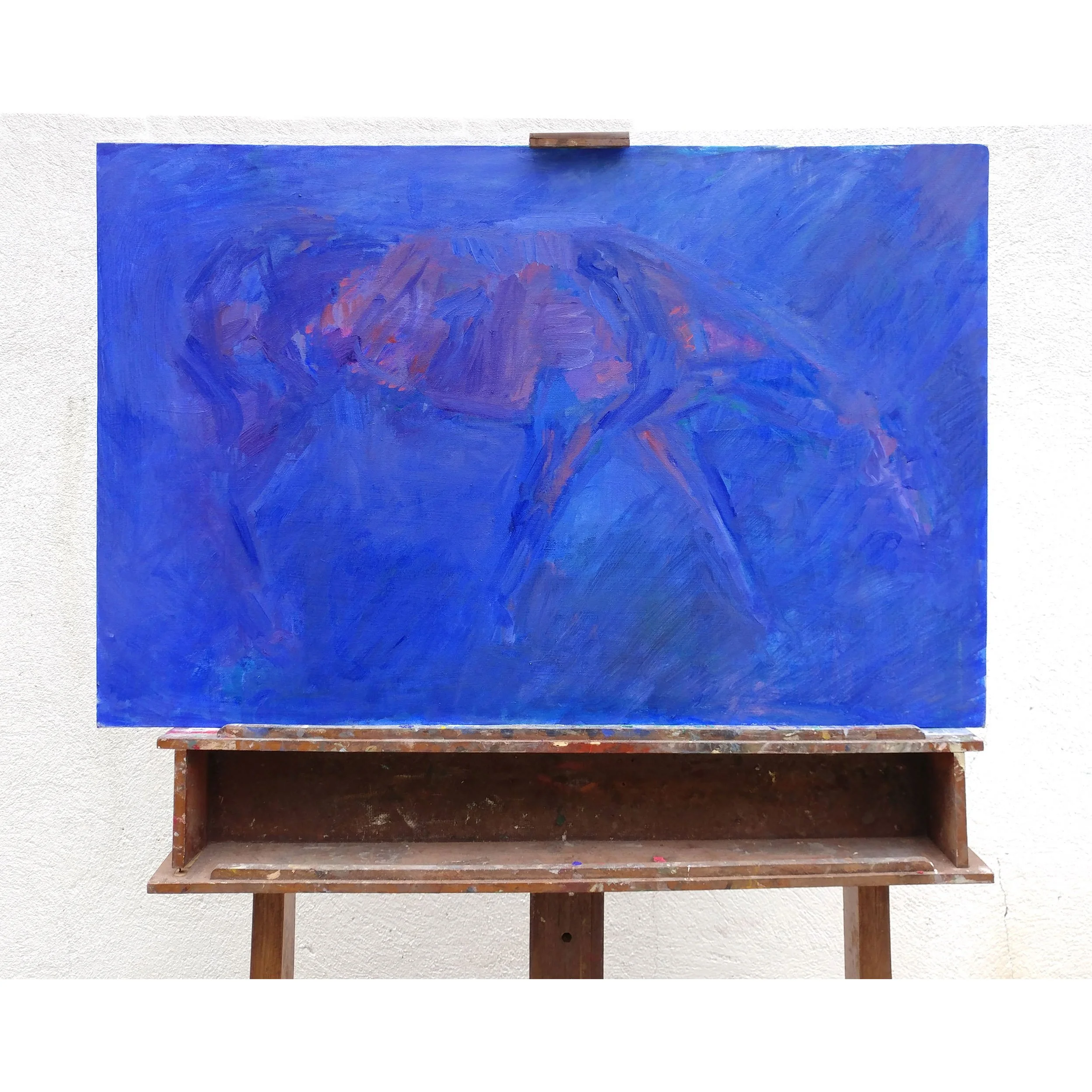 blue-magenta.jpg