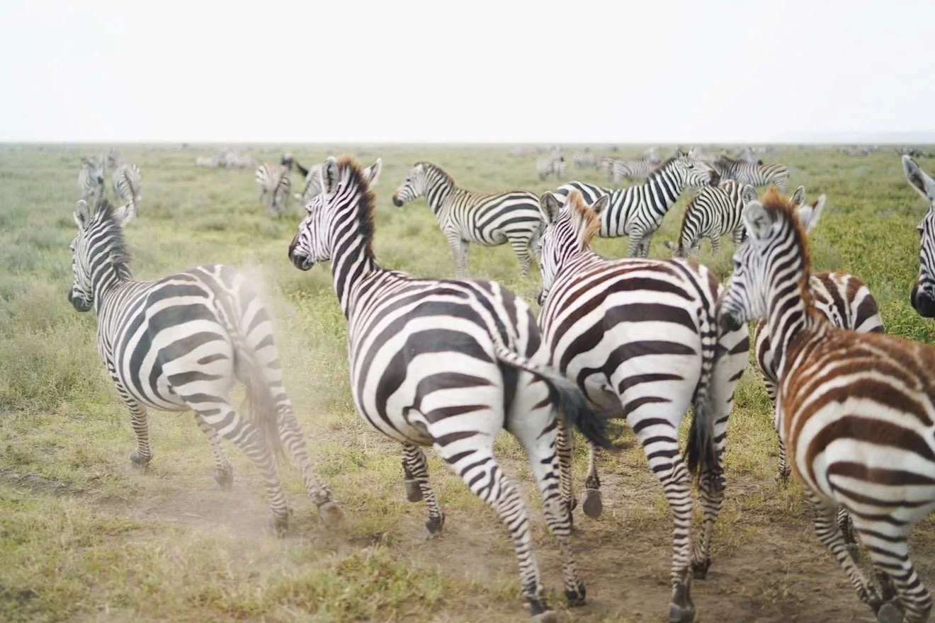 Tanzania
