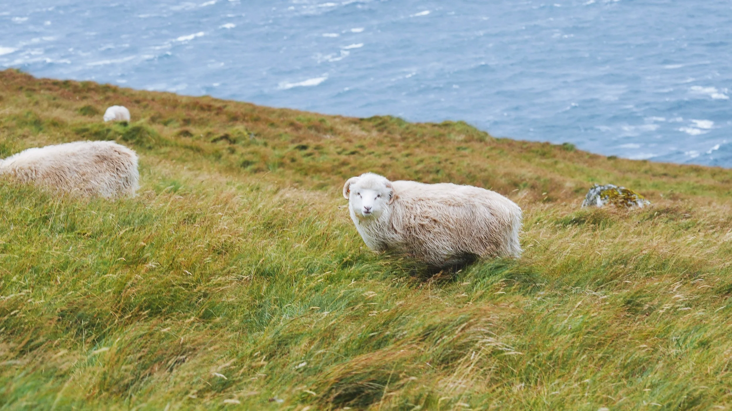 Faroe Islands