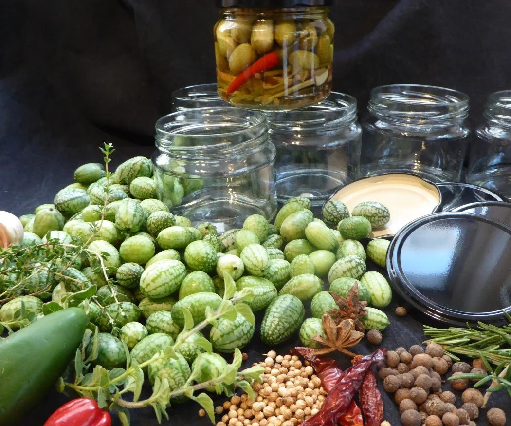 Pickled Mexican Cucumbers