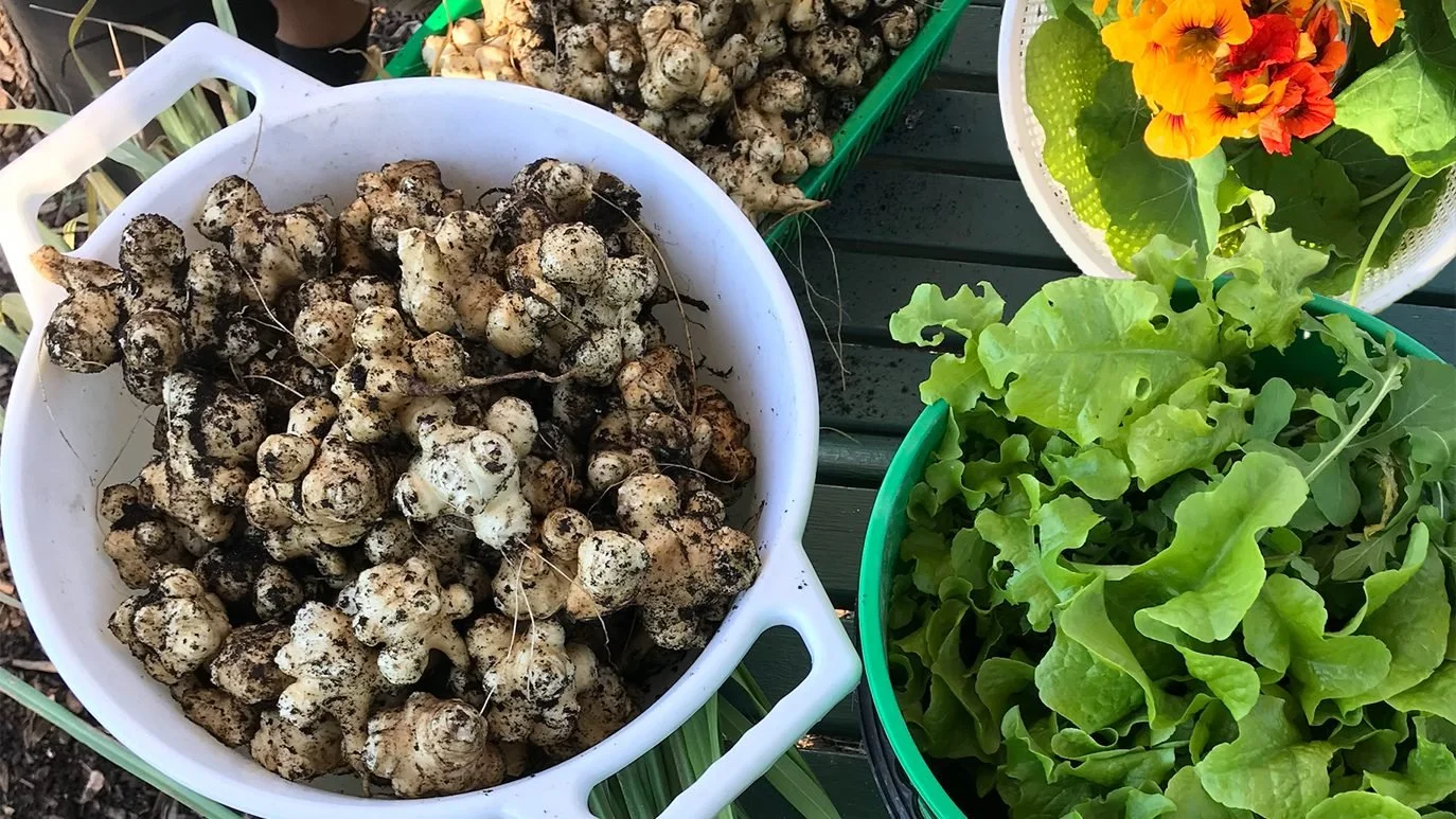 Jerusalem Artichoke soup