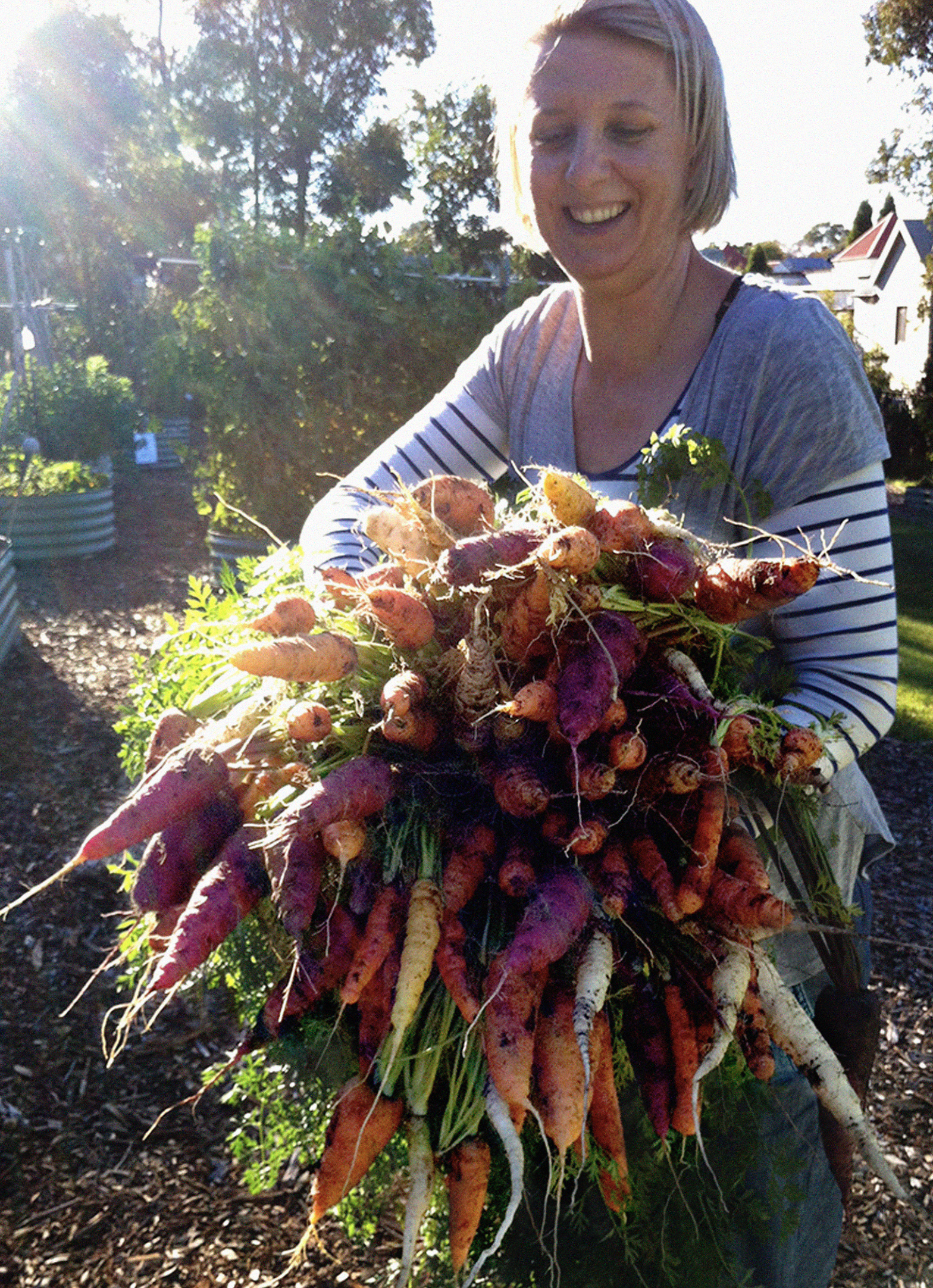 jenny carrots.png