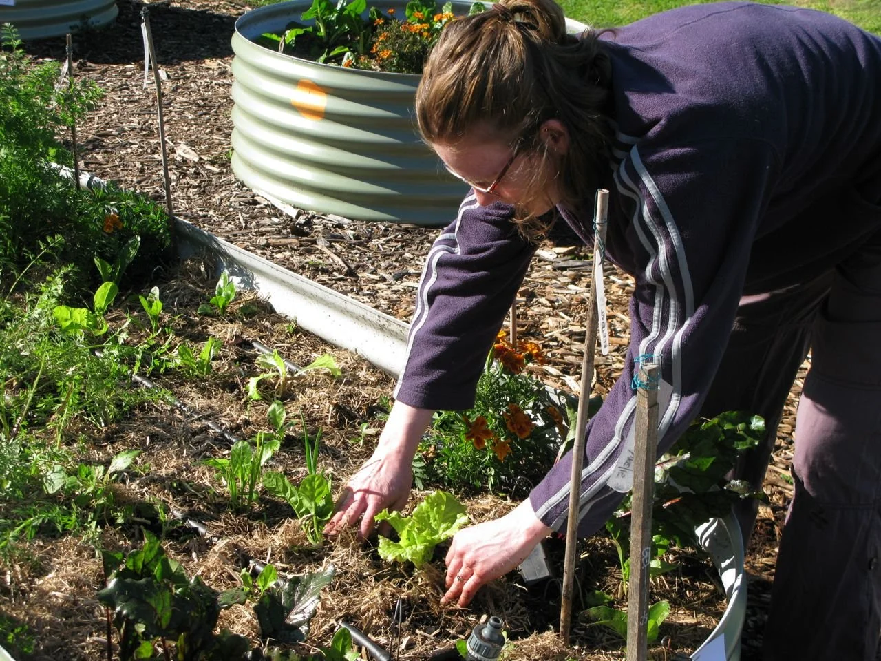 What's good soil made of?