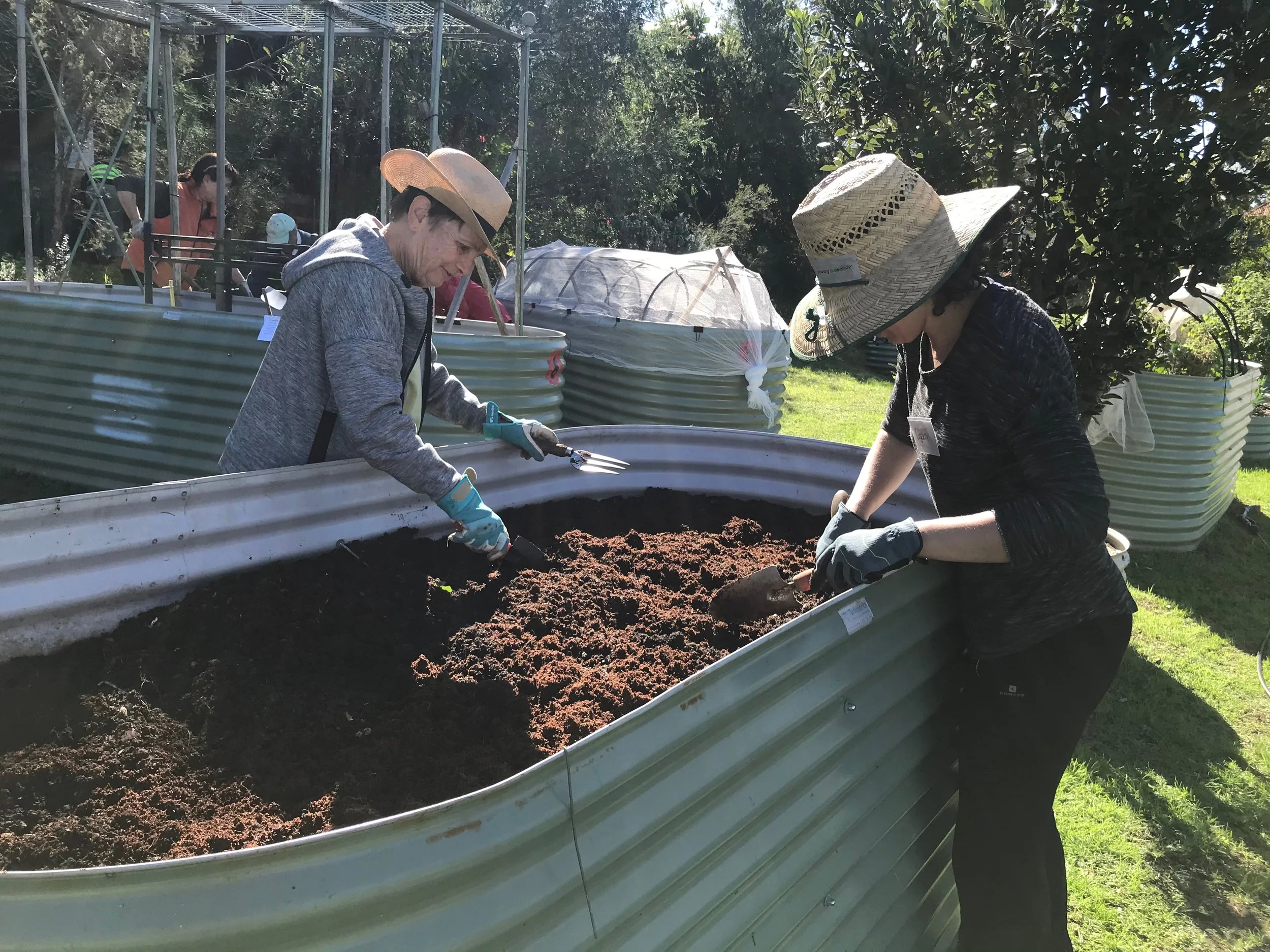 Testing soil texture &amp; drainage