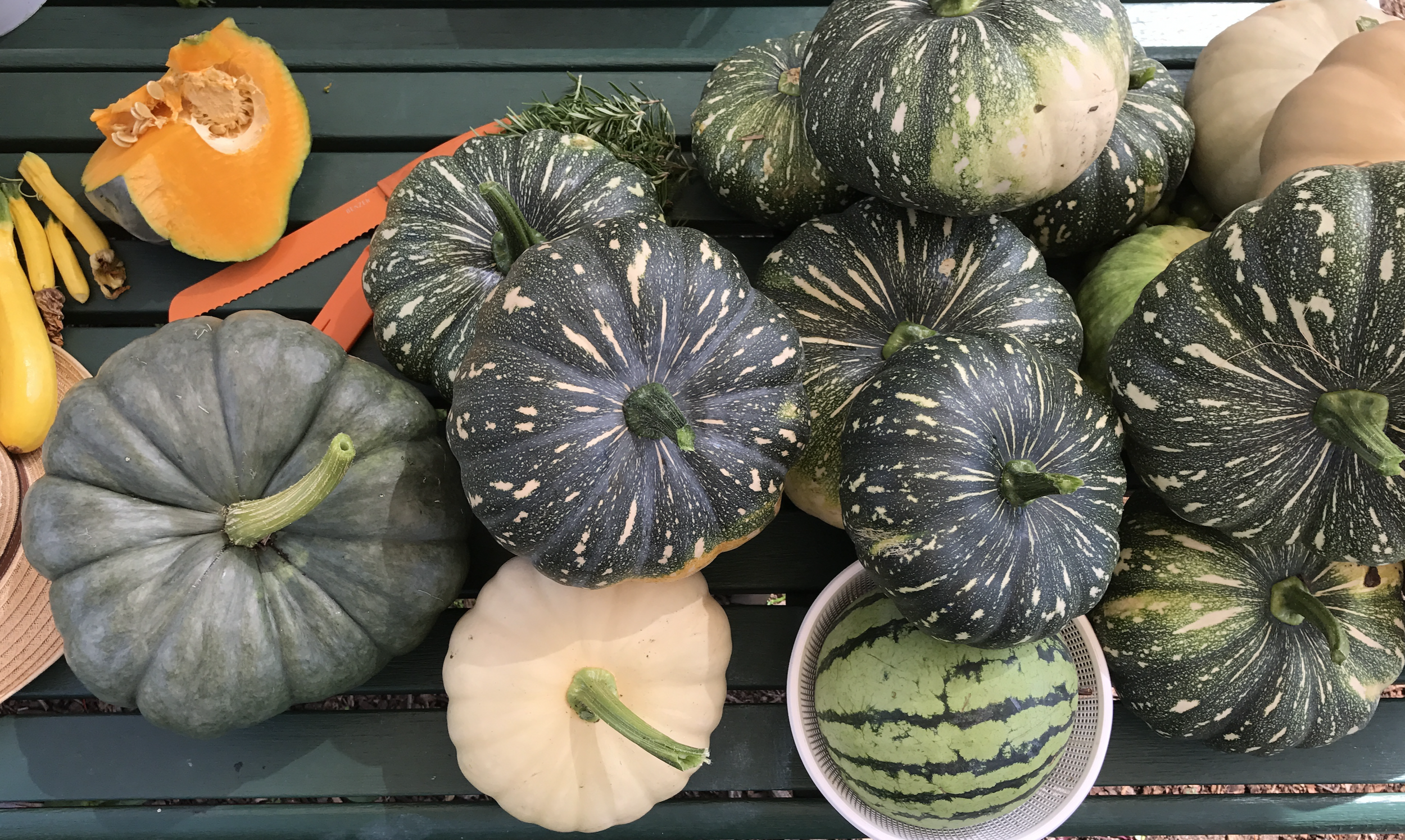 pumpkins.png