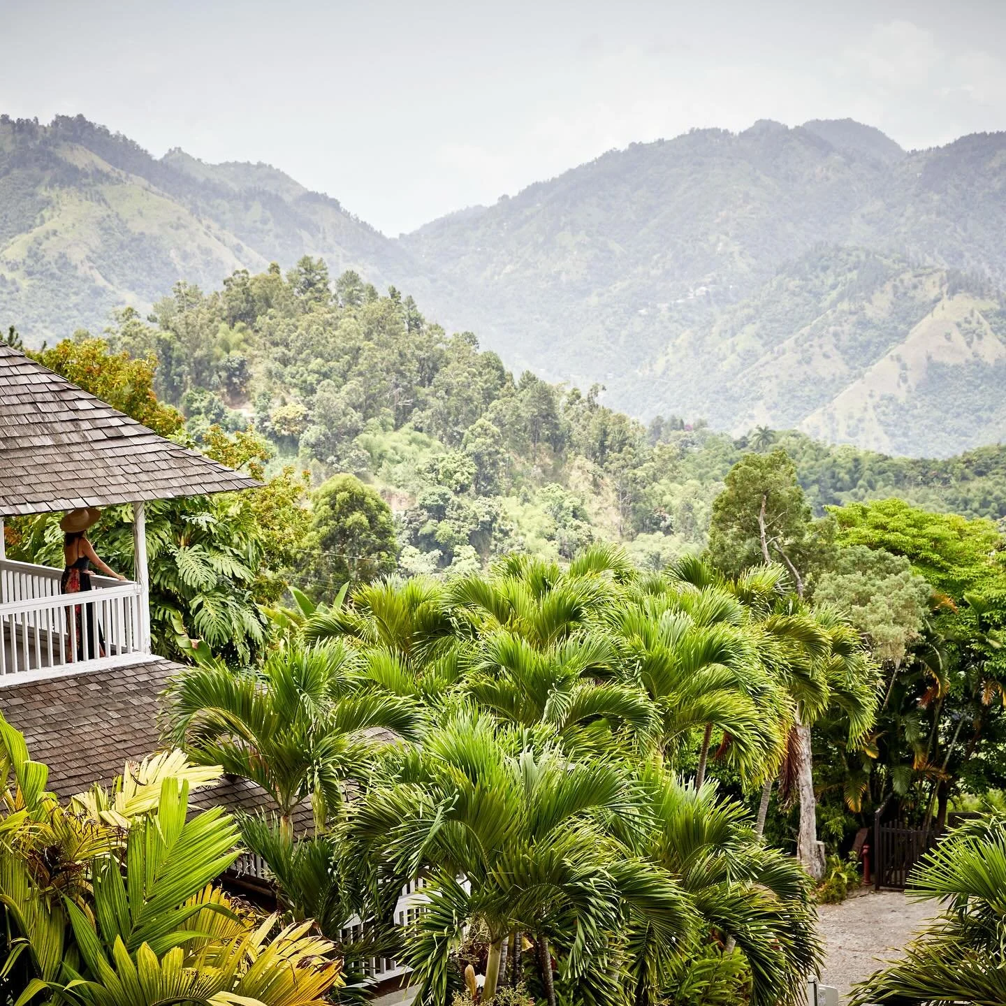 &lsquo;Secluded Jungle Stays&rsquo; @strawberryhillhotel new to @accom.com_ 
.
.
Images Courtesy of @strawberryhillhotel 
.
.
.
#Jamaica
#irishtownjamaica 
#bluemountainsjamaica 
#strawberryhillhotel 
#accomstays