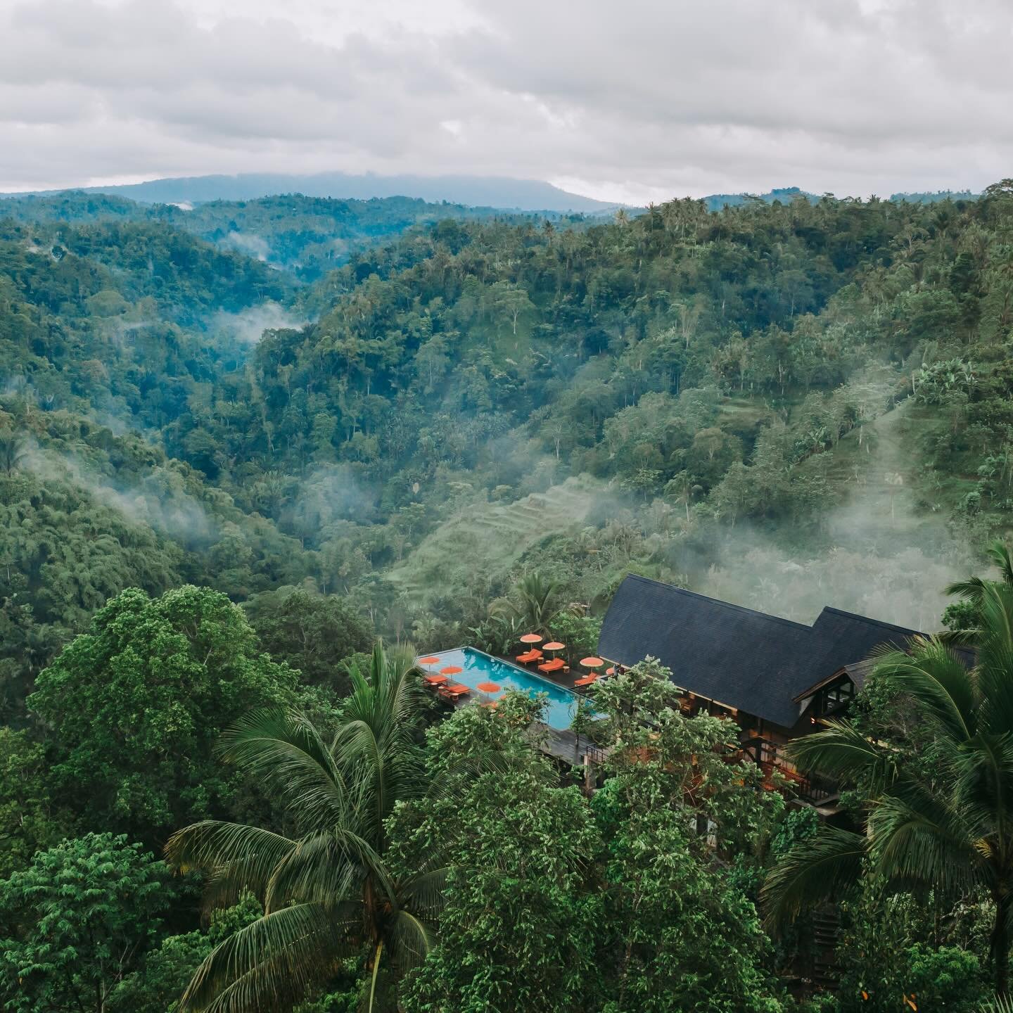 &lsquo;A Jungle Escape&rsquo; @banyantreeescape.buahan new to @accom.com_ 
.
.
Images courtesy of @banyantreeescape.buahan 
.
.
.
#indonesia 
#ubud 
#buahan 
#banyantreeescape 
#accomstays