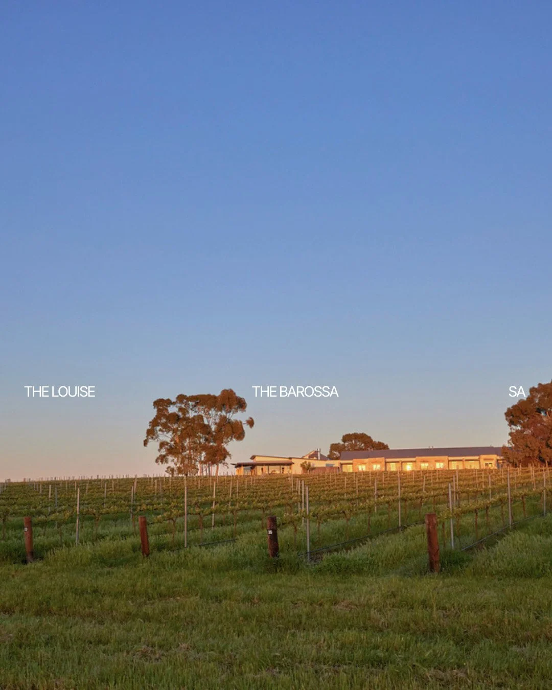 Southern-Europe ease dropped into the Barossa. Sun-dappled courtyards, vines in every direction, kangaroos at dusk and one of the country's great regional restaurants on site. ⁠
⁠
📍 The Louise, Barossa Valley⁠
.⁠
.⁠
.⁠
Images courtesy of @thelouiseb