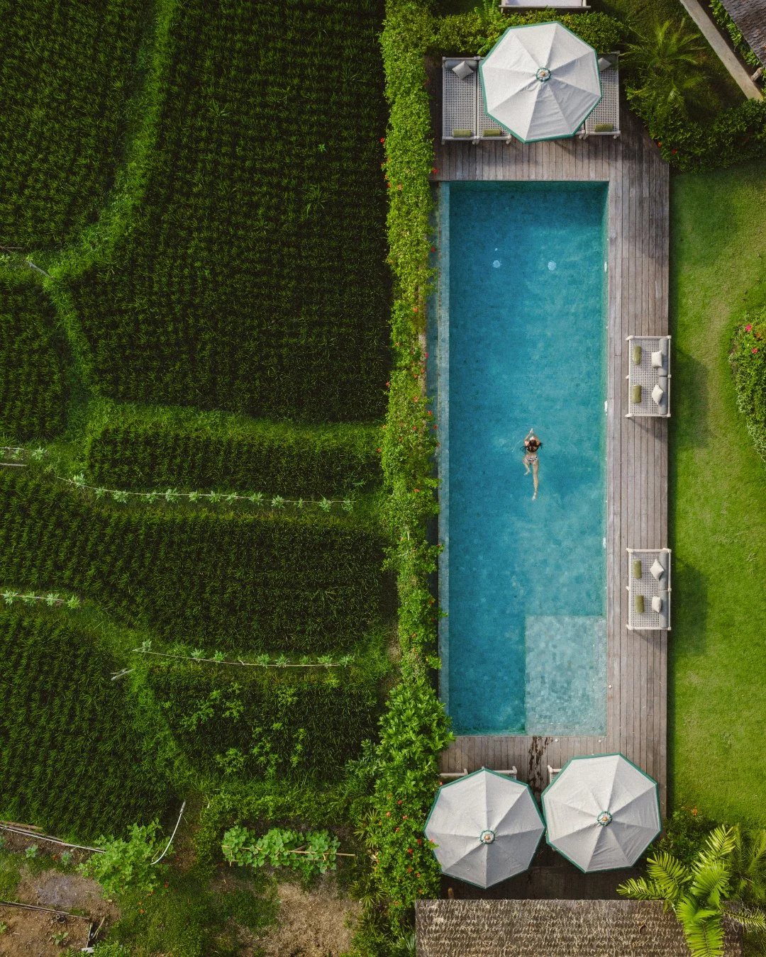 &lsquo;A Serene Haven&rsquo; @magiadeuma new to @accom.com_⁠
.⁠
.⁠
Images courtesy of @magiadeuma⁠
.⁠
.⁠
.⁠
#bali⁠
#magiadeuma⁠
#luxurytravel⁠
#accomstays