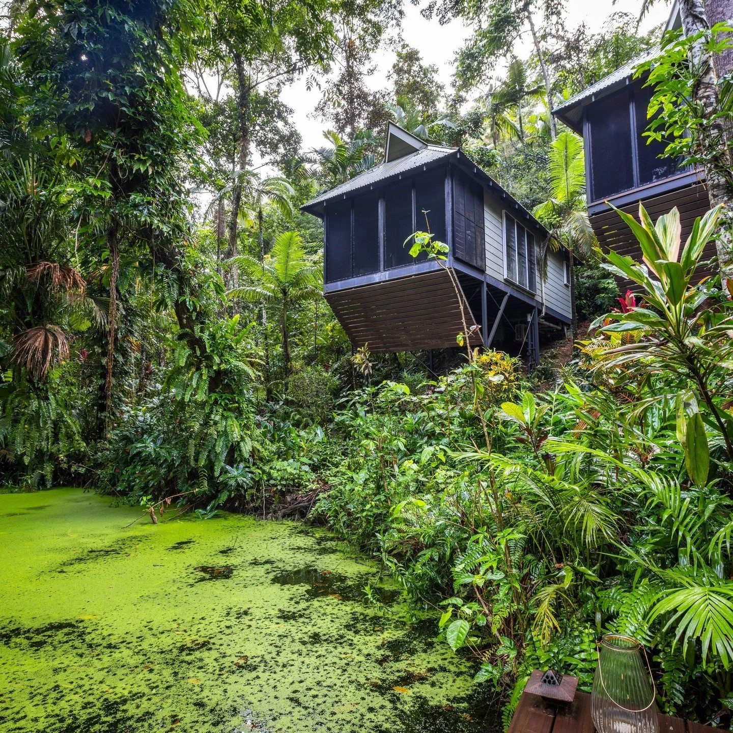 &lsquo;A Rainforest Hideaway&rsquo; @daintreeecolodge new to @accom.com_⁠
.⁠
.⁠
Images courtesy of @daintreeecolodge⁠
.⁠
.⁠
.⁠
#daintree⁠
#ecolodge⁠
#accomstays