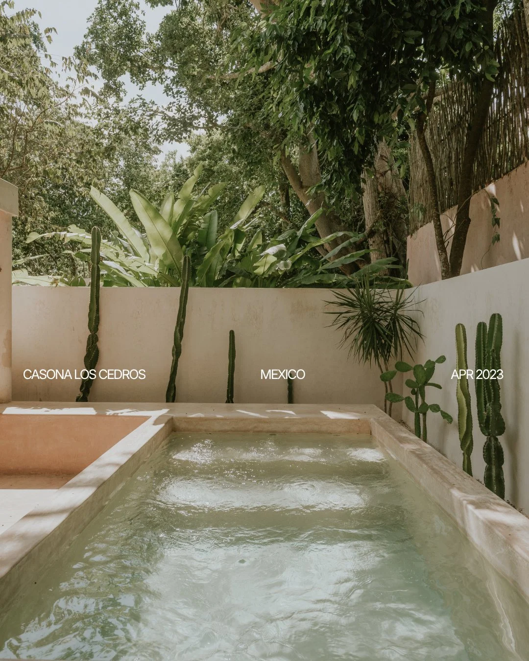 Some places don't shout and Casona Los Cedros just quietly gets everything right. Eight rooms in a lovingly restored casona in the little Yucat&aacute;n town of Espita &mdash;chukum walls, a tropical garden, a pool to disappear into, and a kitchen co