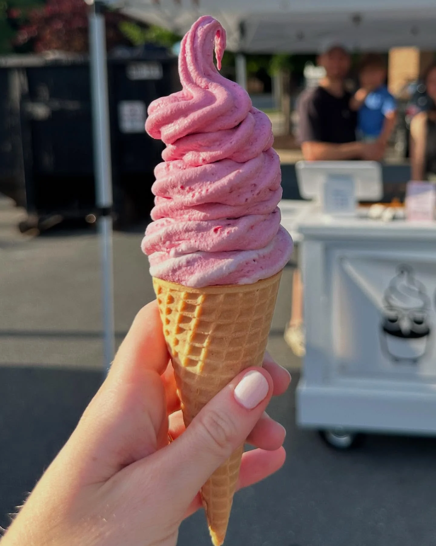 We&rsquo;ll be serving up some berry swirls for Downtown Belmont&rsquo;s Literary Festival on Saturday, August 30th!

Come hang out at Stowe Park (upper field!)
Starting at 11am. 

Berry flavors: raspberry, strawberry, mixed berry🍓🫐