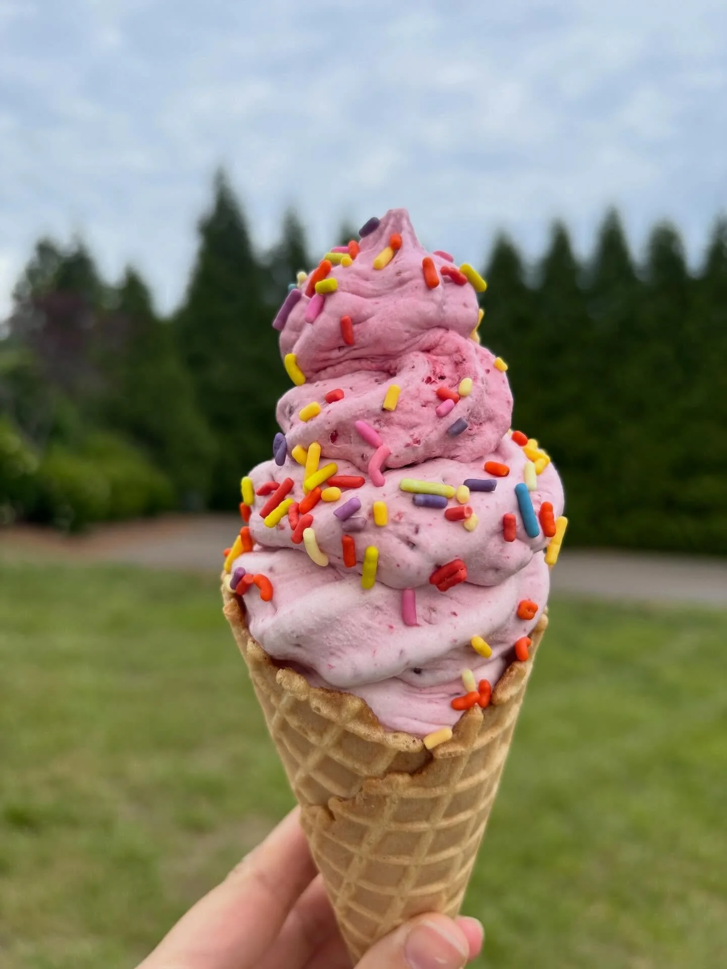 Sometimes we bring sprinkles 😋🩷&hearts;️🧡