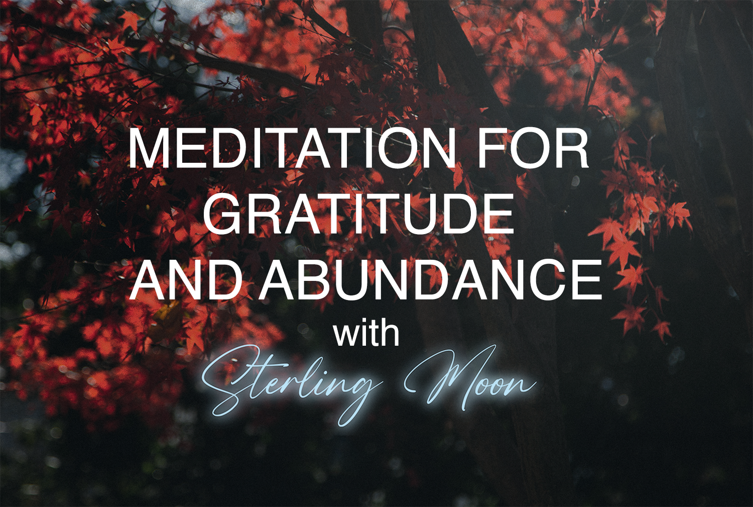 gratitudemeditation.png