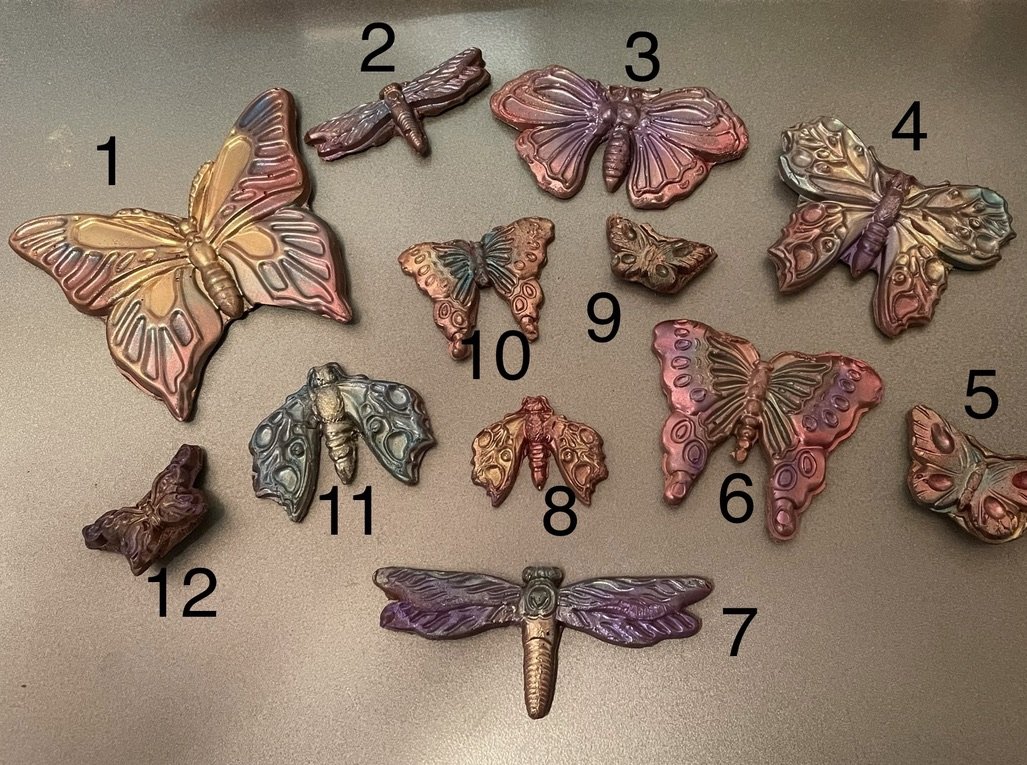 Nature - Butterflies