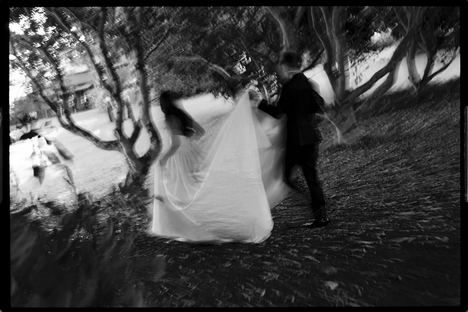 Daniel Chafer Photography-063470022.jpg