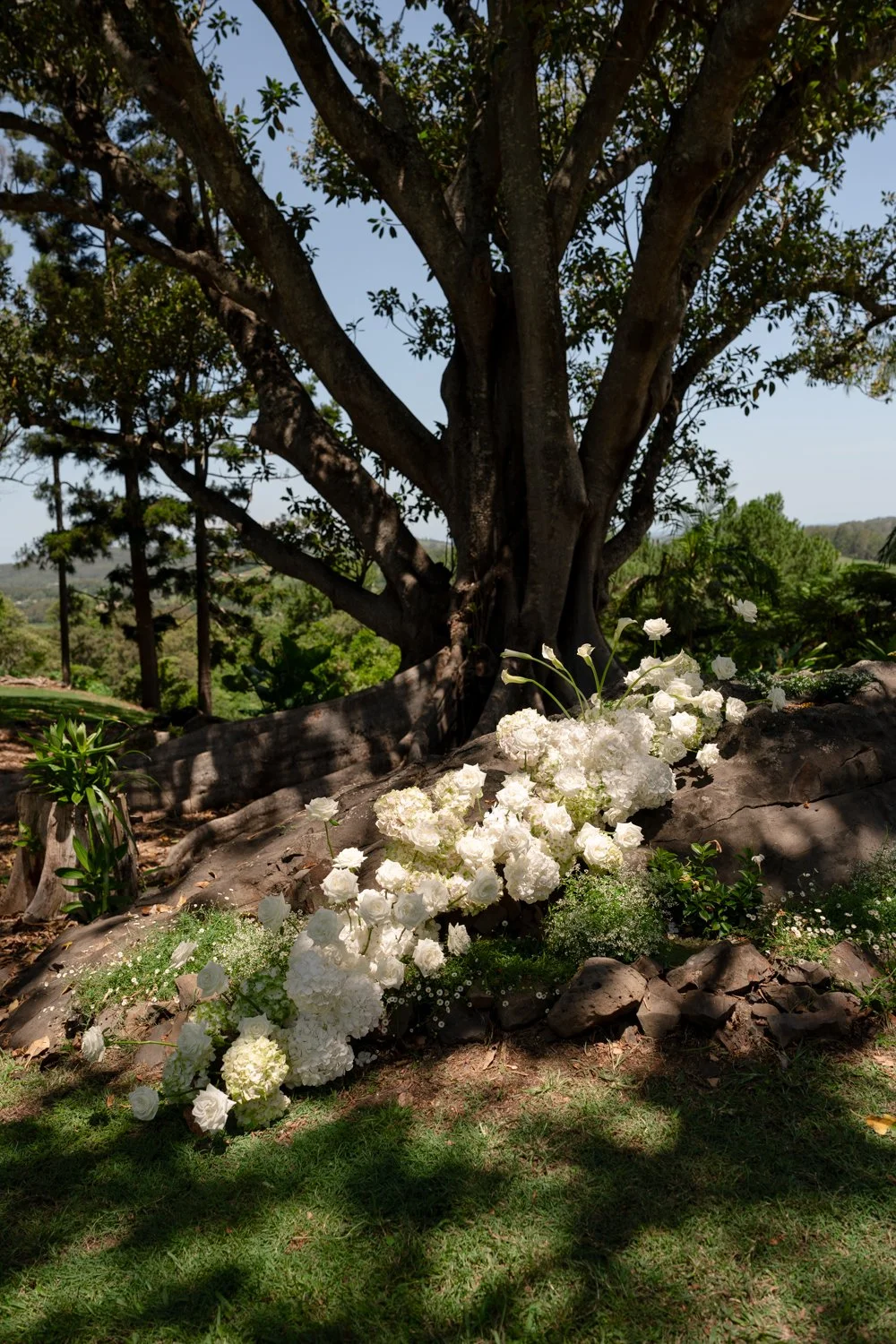 Daniel Chafer Photography-06093.jpg