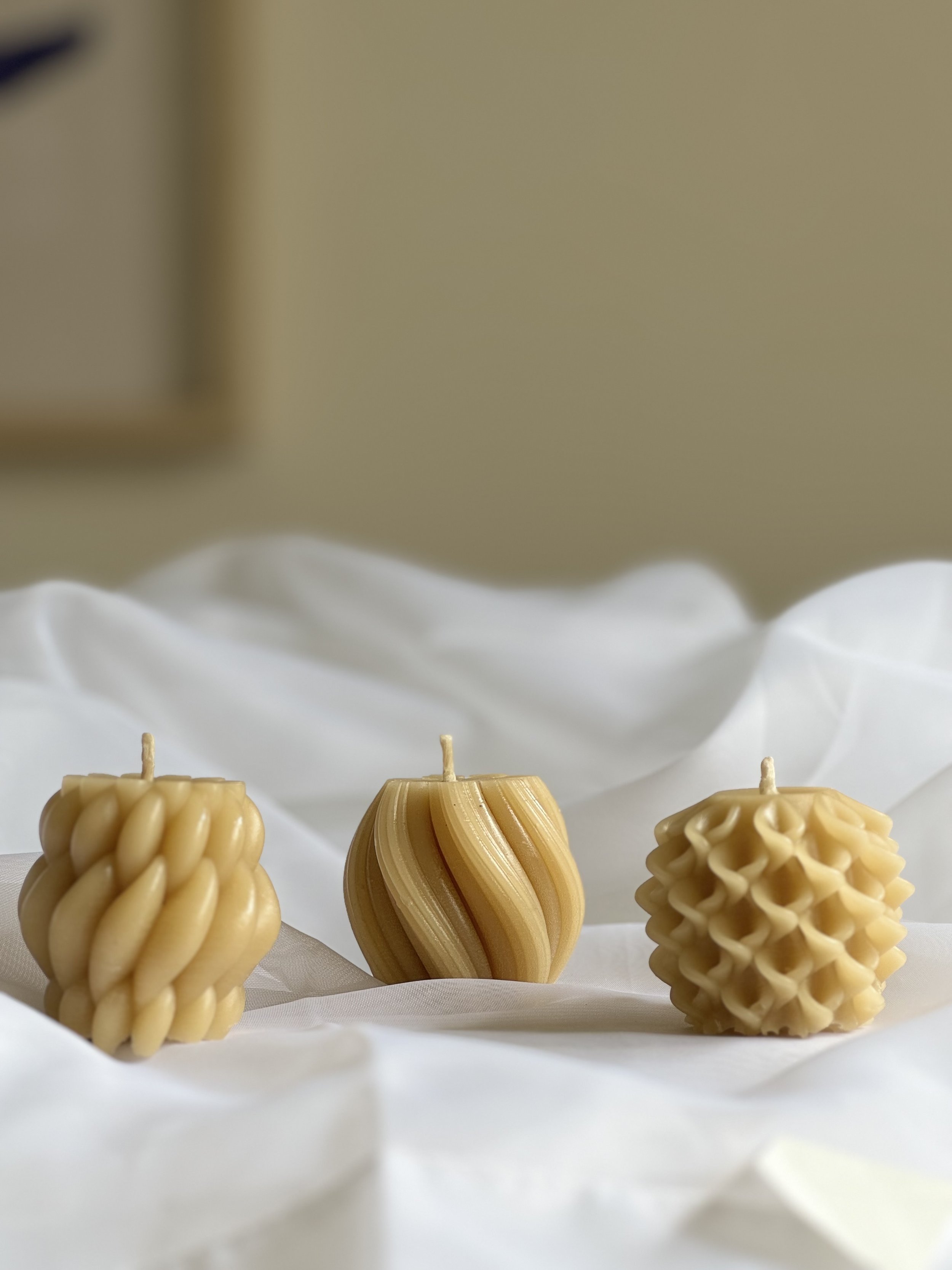 Pines Cones