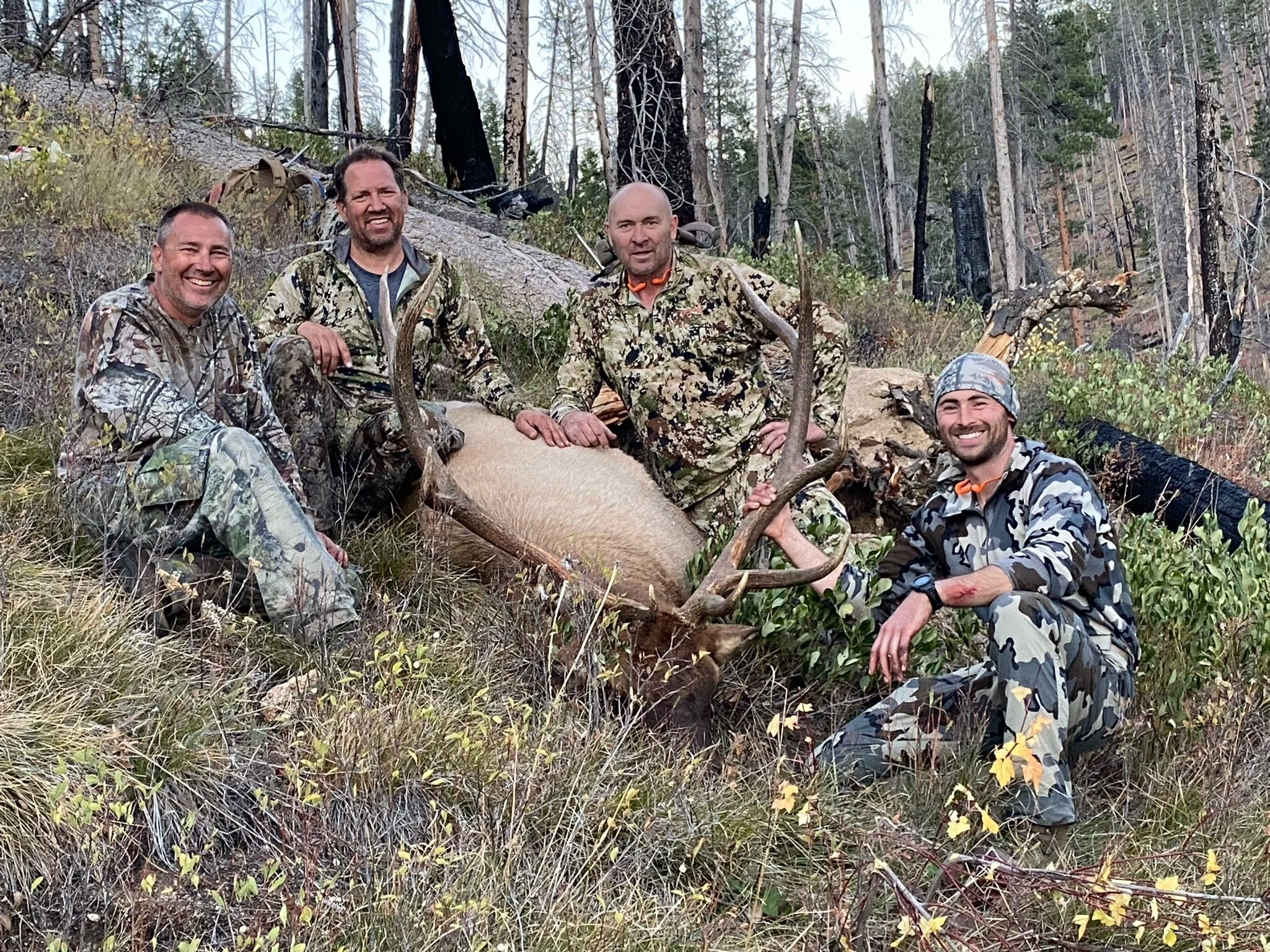 About — Great Basin Pack Llamas