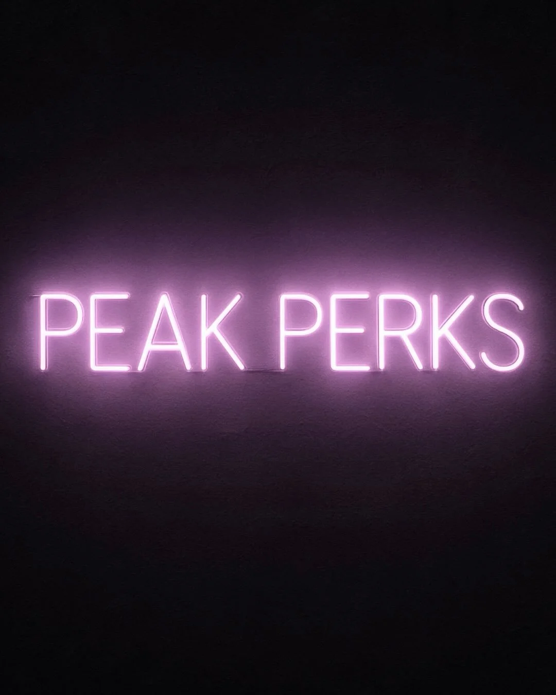 PEAK perks.

Thoughtfully curated to support your training,
your recovery, and everything that happens outside the gym.

Because real results come from how you live &mdash;
not just how you train.

Spread the word 💕