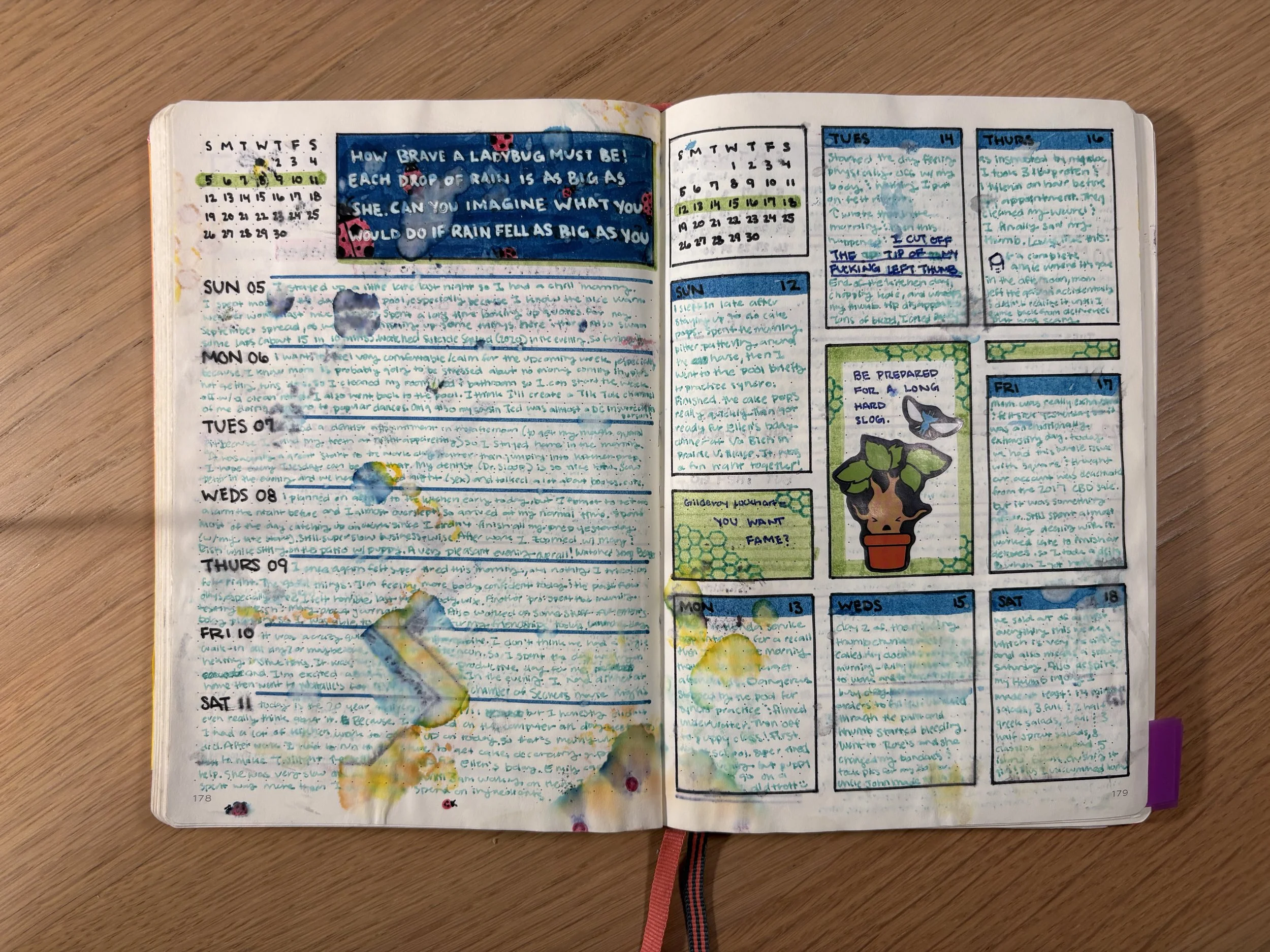 September Weekly Review 2.jpeg