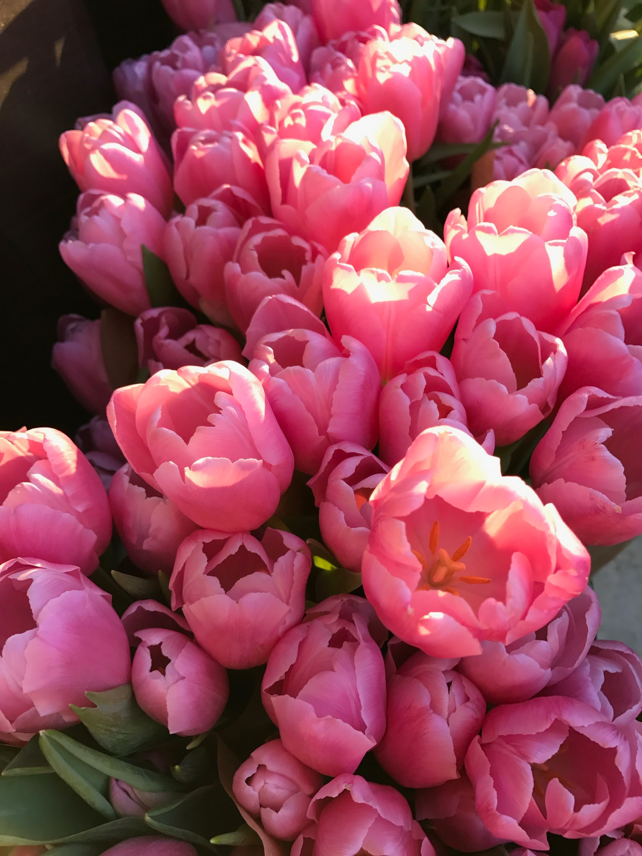 Flower Market