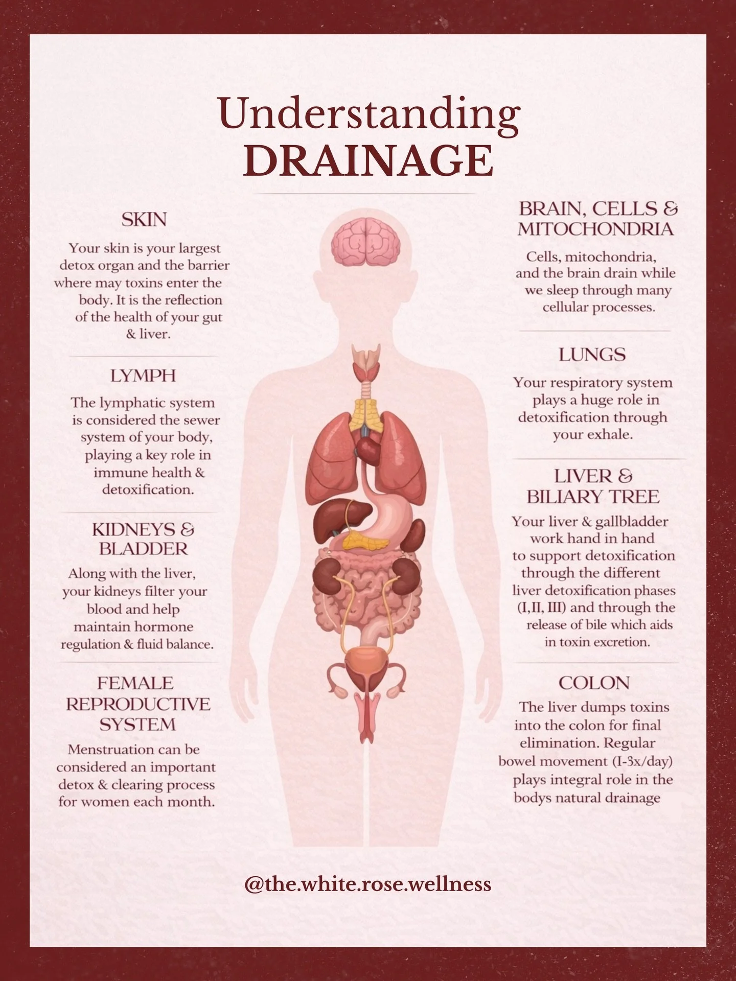 21st century living conditions expose us to a rampant amount of toxicants and high levels of stress (much of which our bodies cannot handle without some additional help) 

A skilled practitioner can help you assess where support is needed and the pro