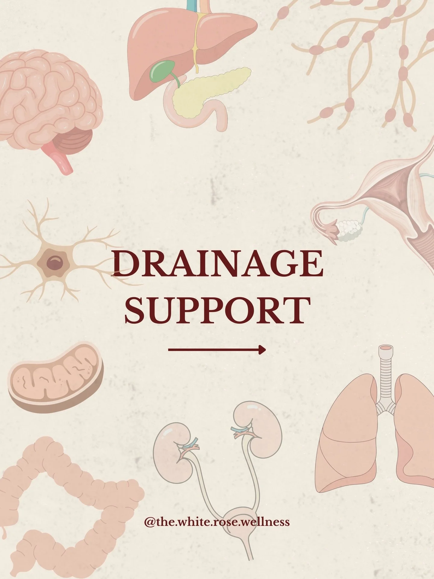 Supporting each drainage pathway, especially the ones that tend to be weaker for you (constitutionally, genetically, or based on your emotional and physical history, is an ongoing journey and it starts by focusing on the foundations first and foremos