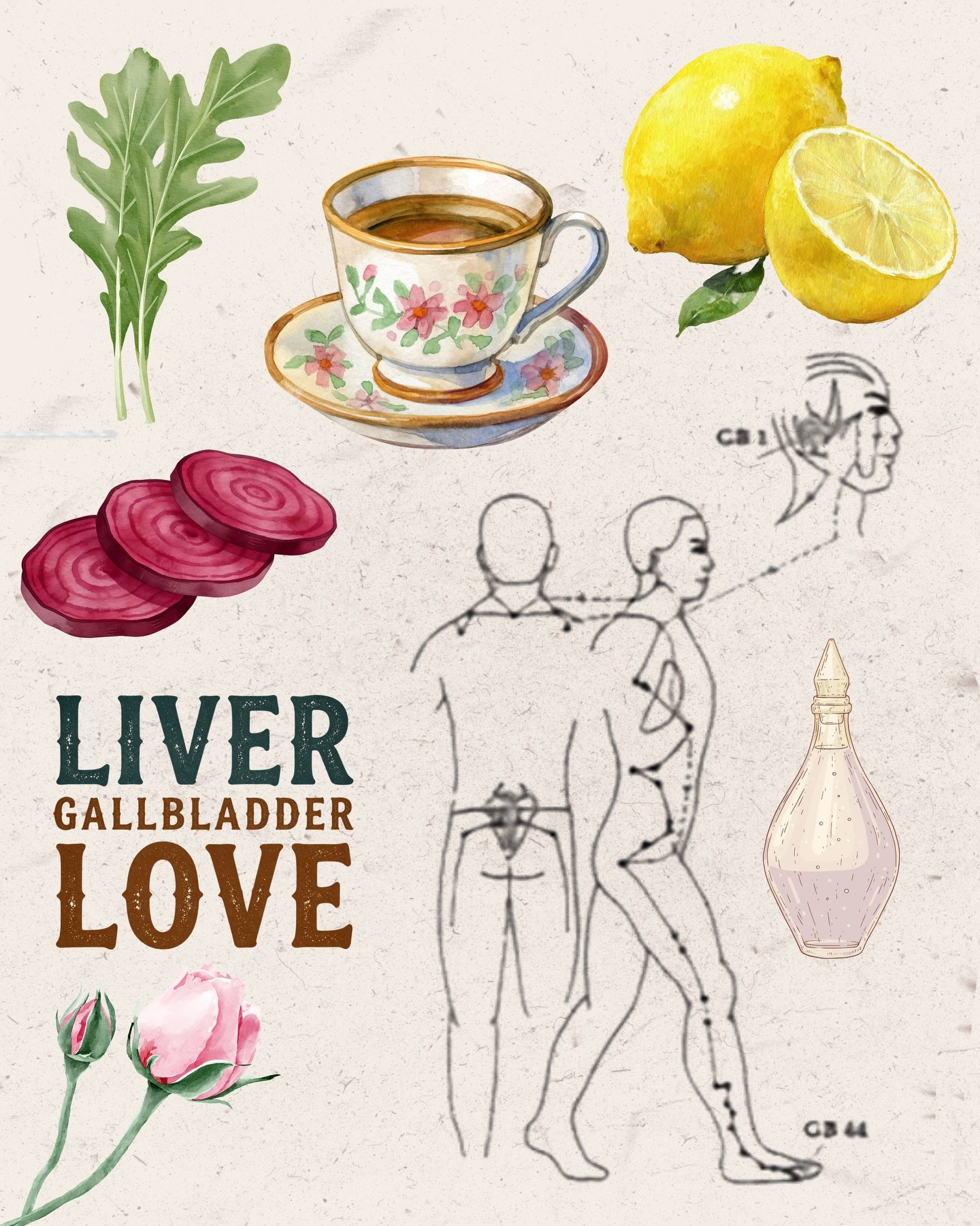 Spring is almost here ..🌸
 
What are you doing to support your Liver? 🕯️

*For educational purposes only. Please consult a healthcare professional before adding any supplements or herbal remedies.