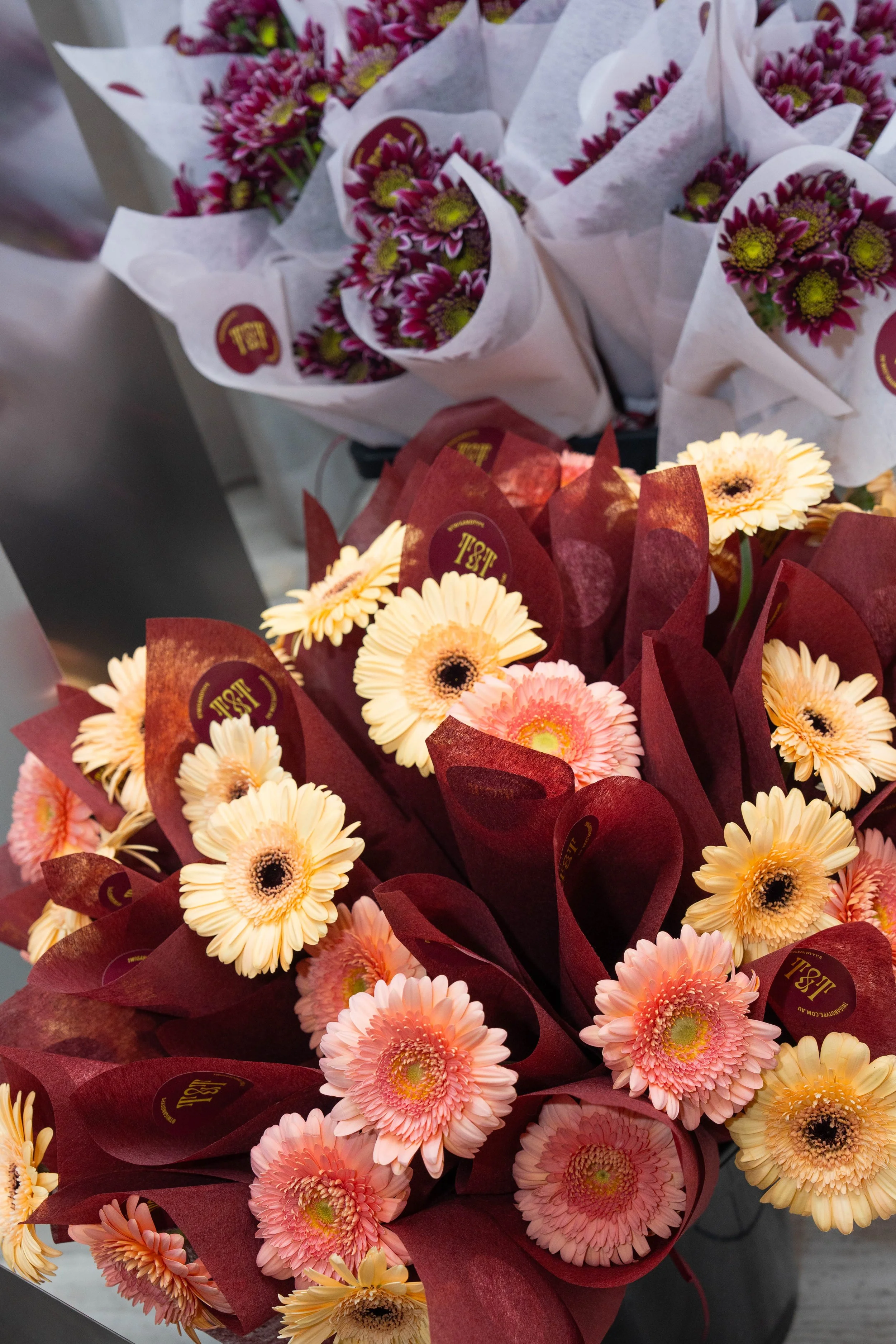 TSS (_claudia.tivendale) activations-26.jpg