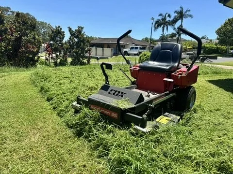 Red and black lawn mower on a grassy lawn with trees, houses, and palm trees in the background under a clear blue sky.