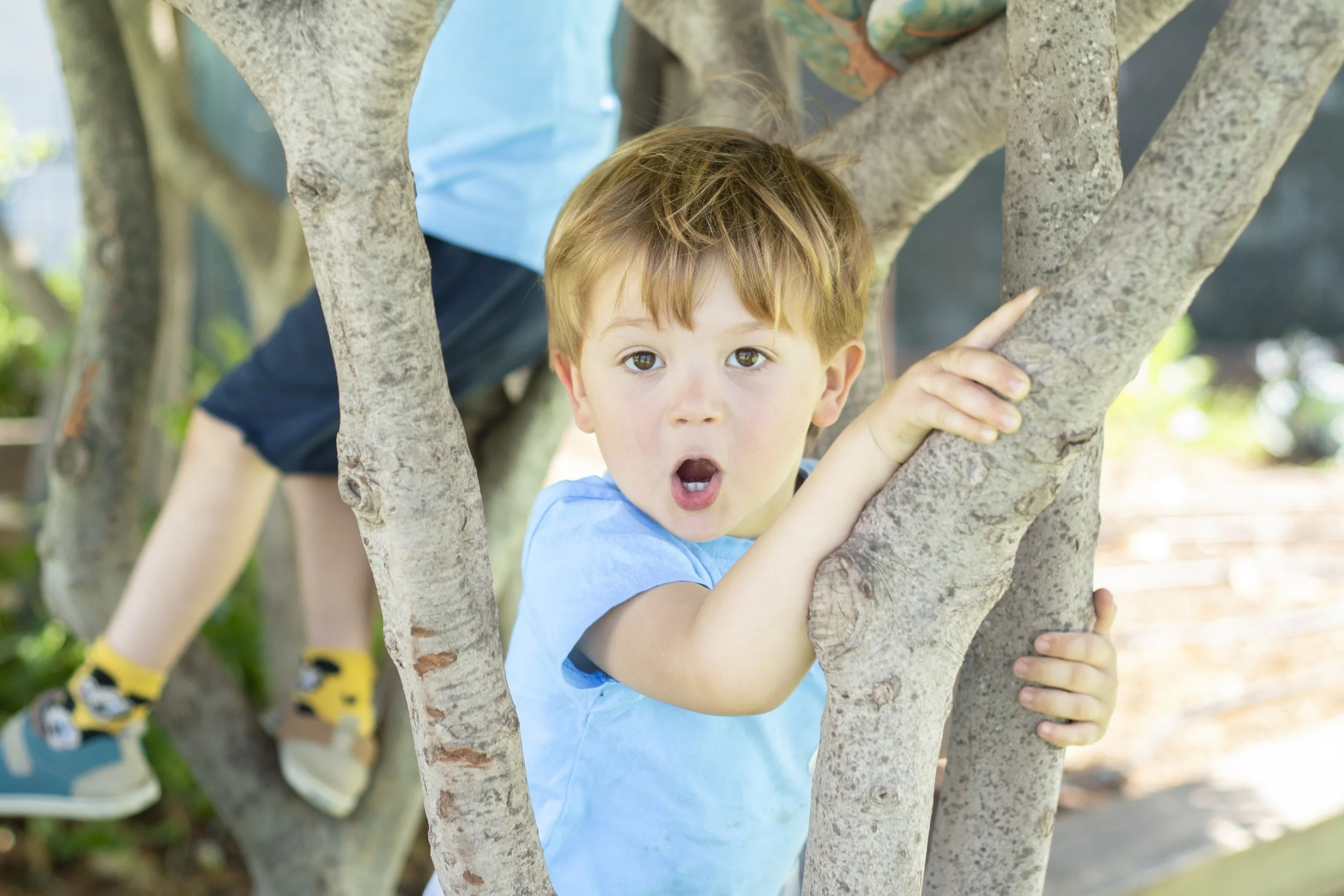  The Brazilian Stand at International Food Day 