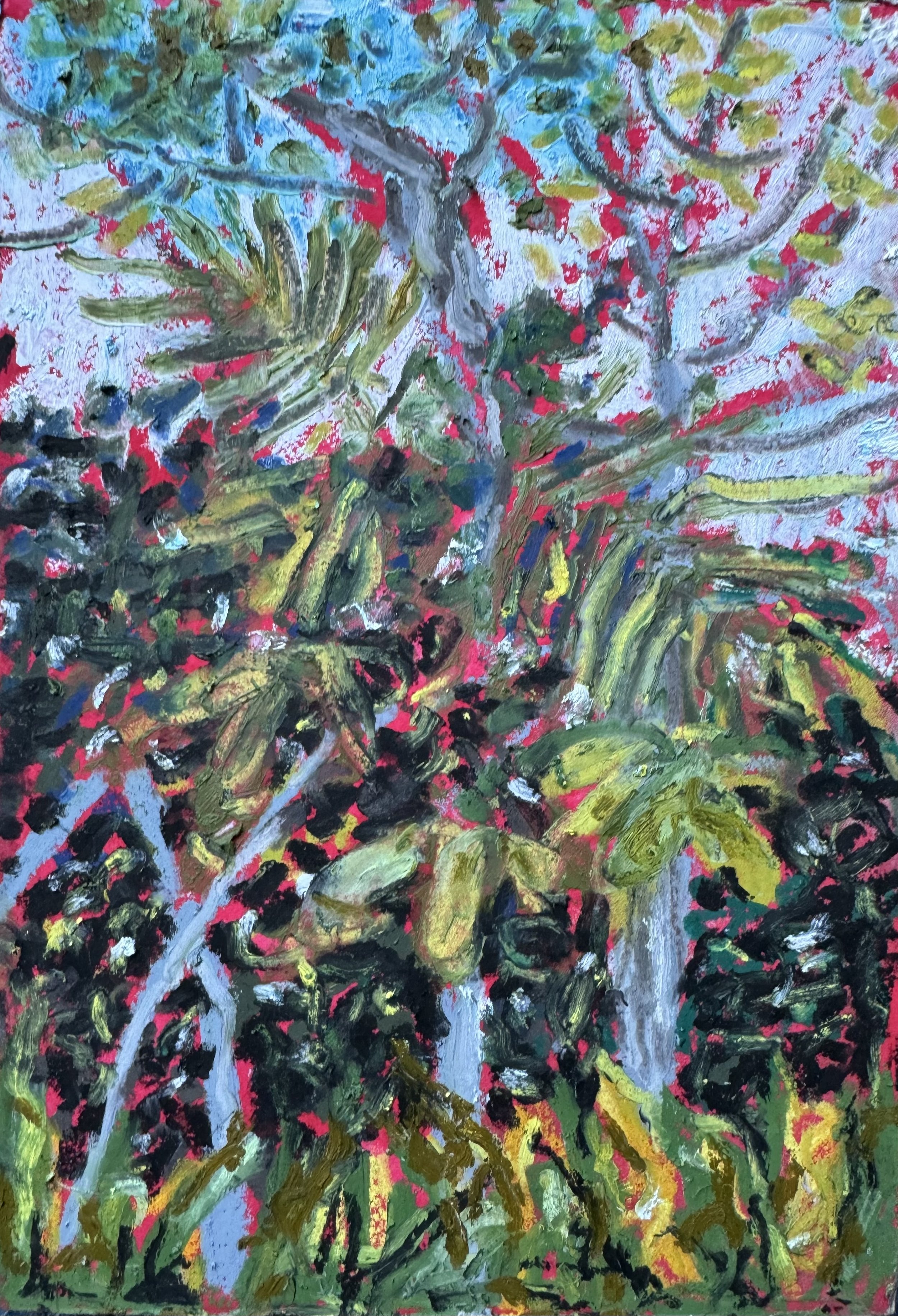 postcard while I can.jpeg