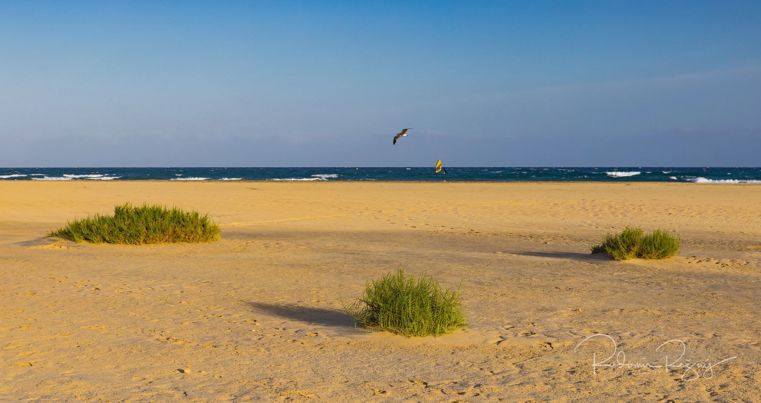 Corralejo Natural Park, Fuerteventura