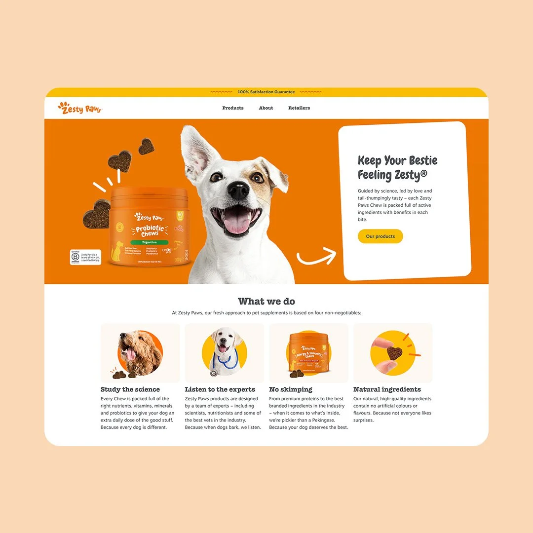 zesty paws website launch.jpg