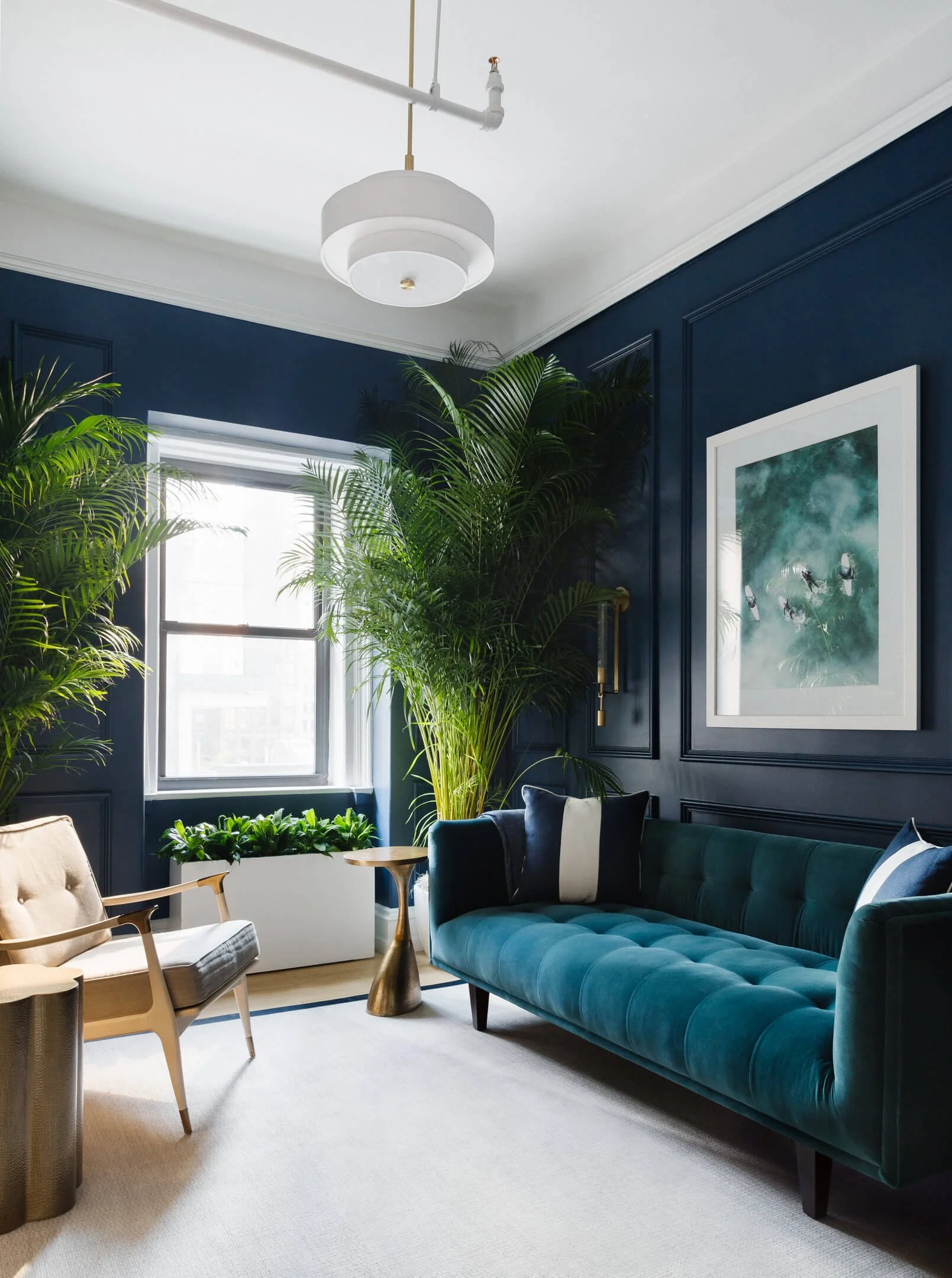 Navy Room Clarity Health + Wellness