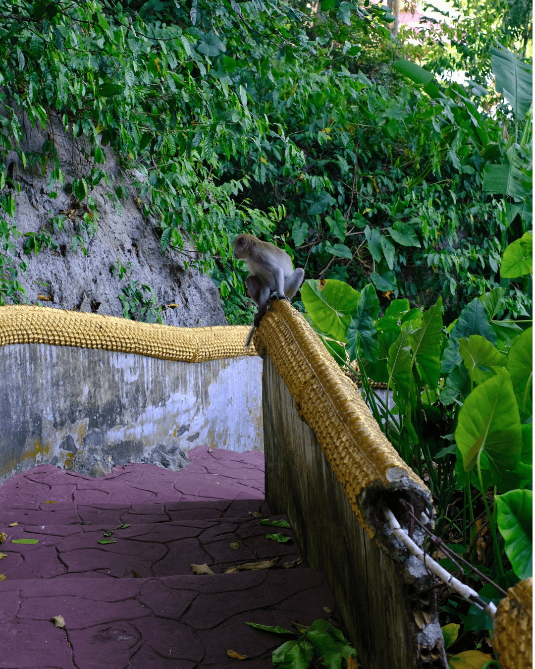 A monkey climbs the steps at Tham Phra Chaison.