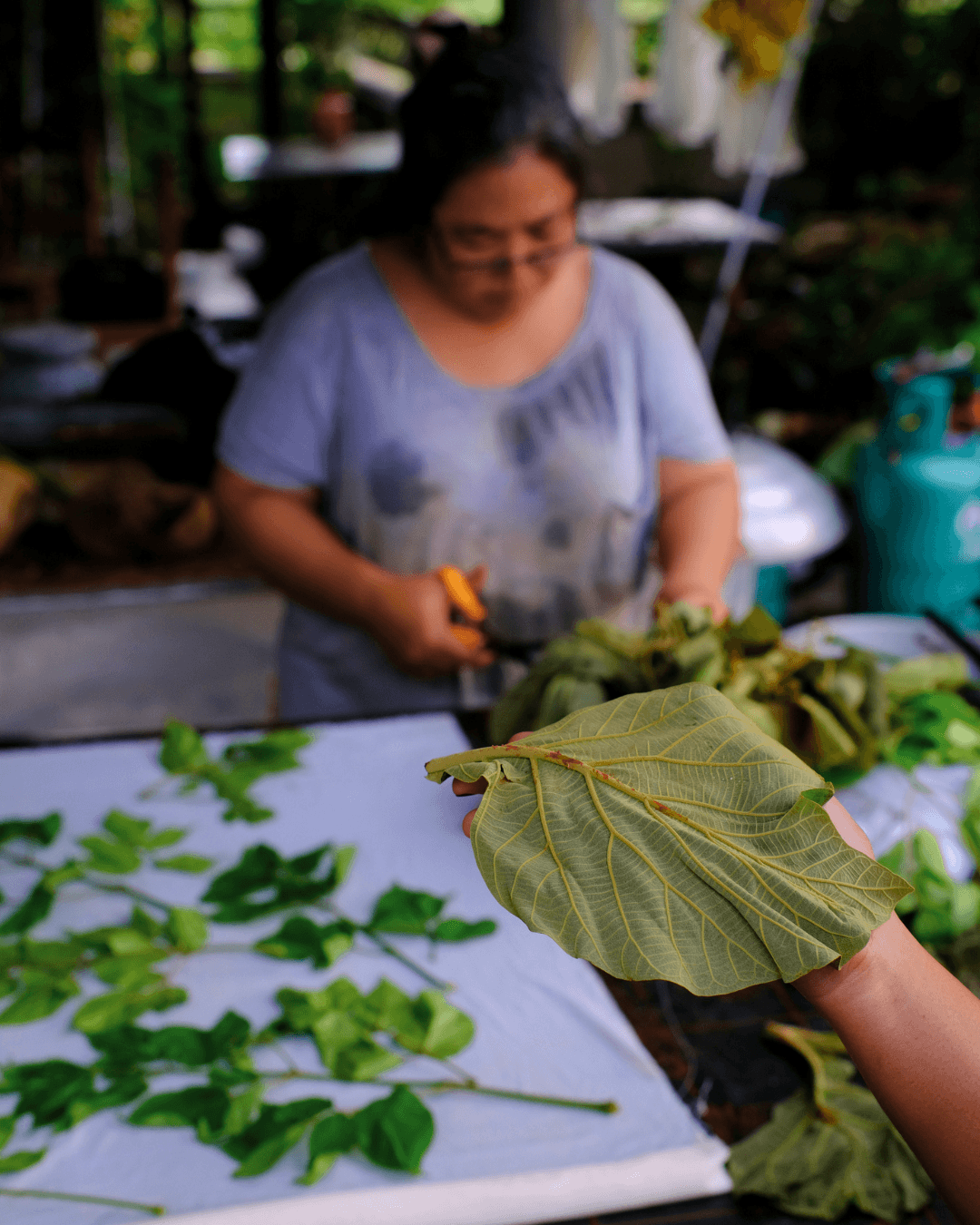 P'Lek Botanical Printing