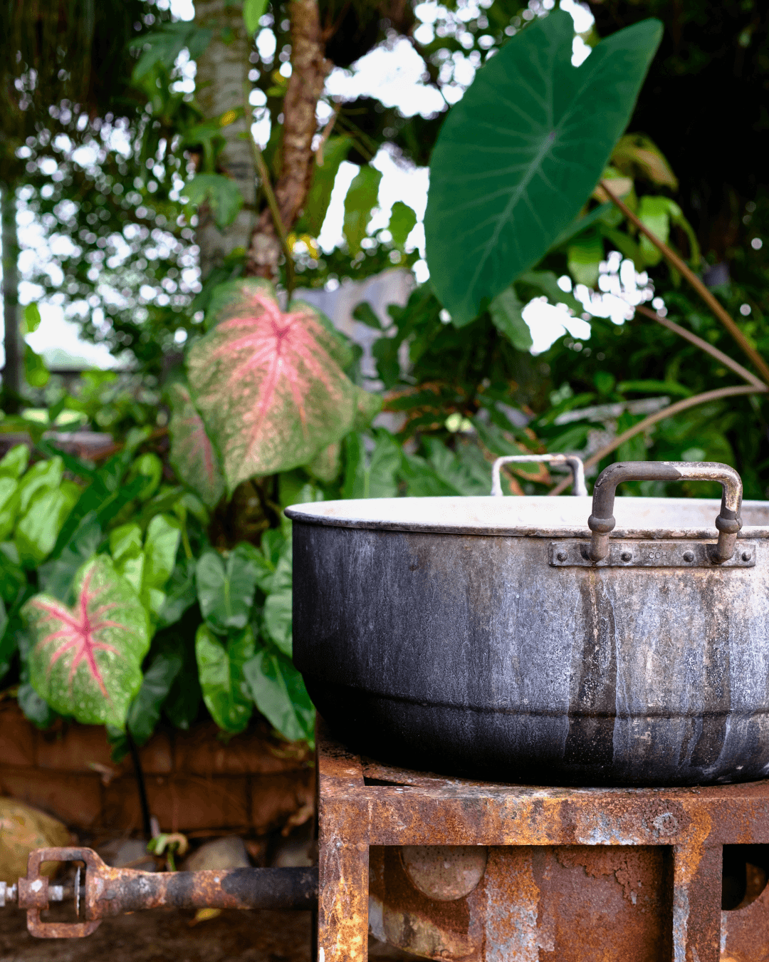 The pot used to boil the botanical print canvas