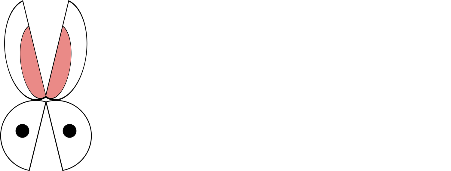 macho films