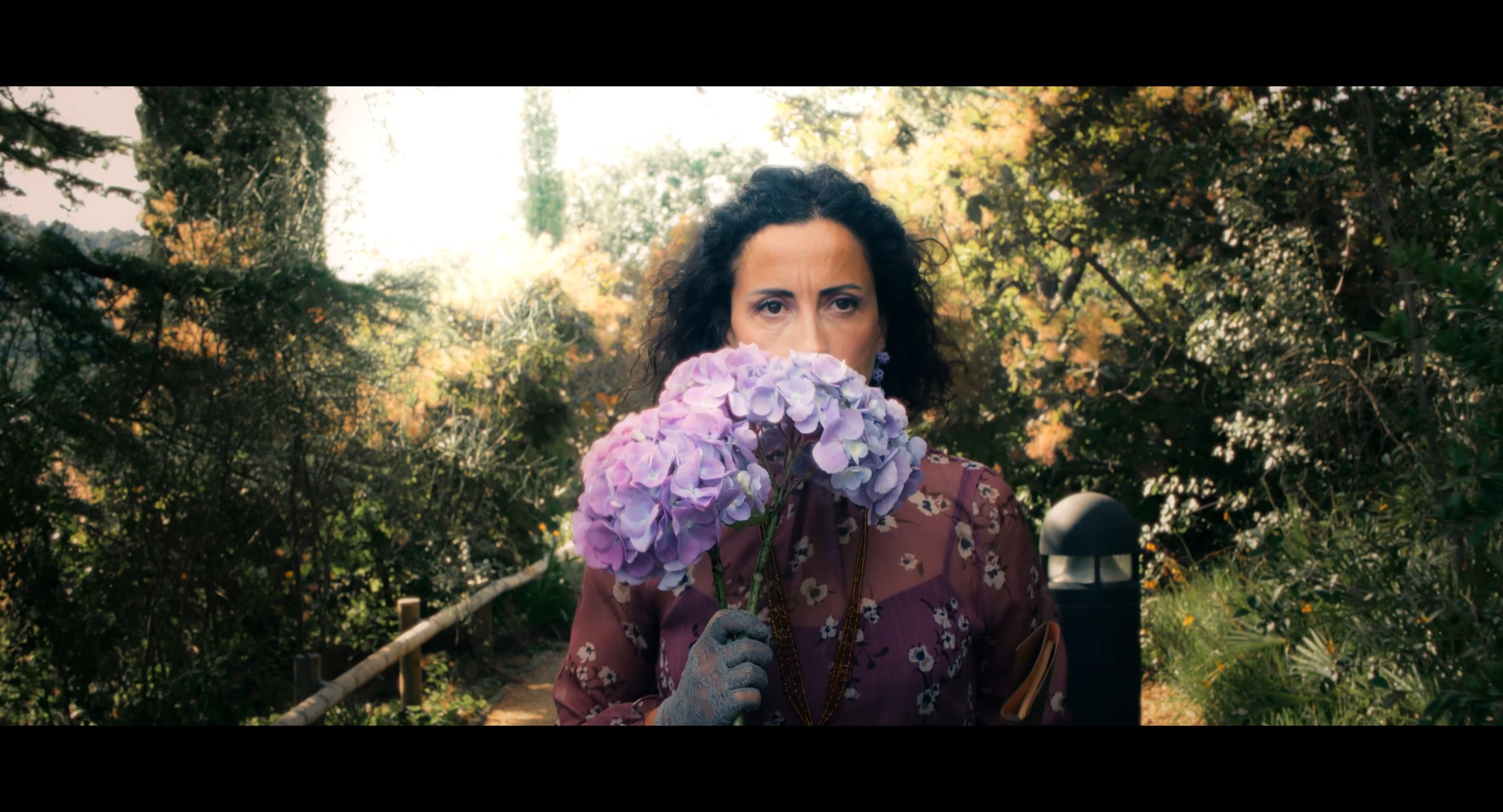 Captura 1_1.45.2.jpg