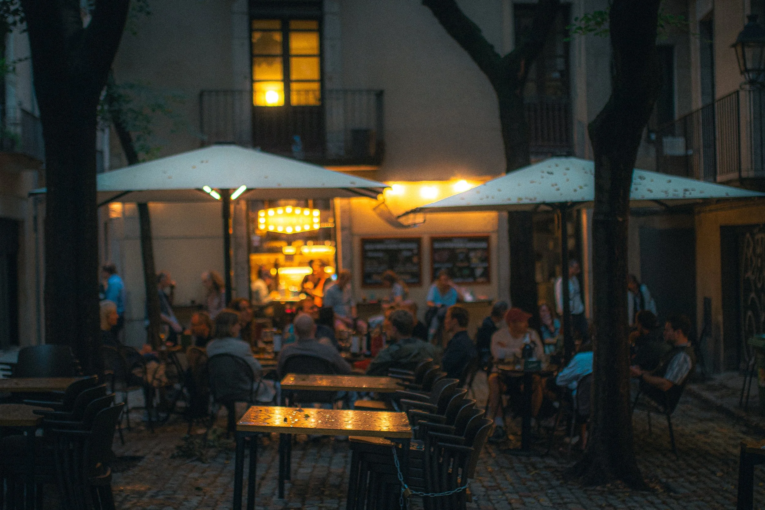 terracita (enfocado)-1.jpg