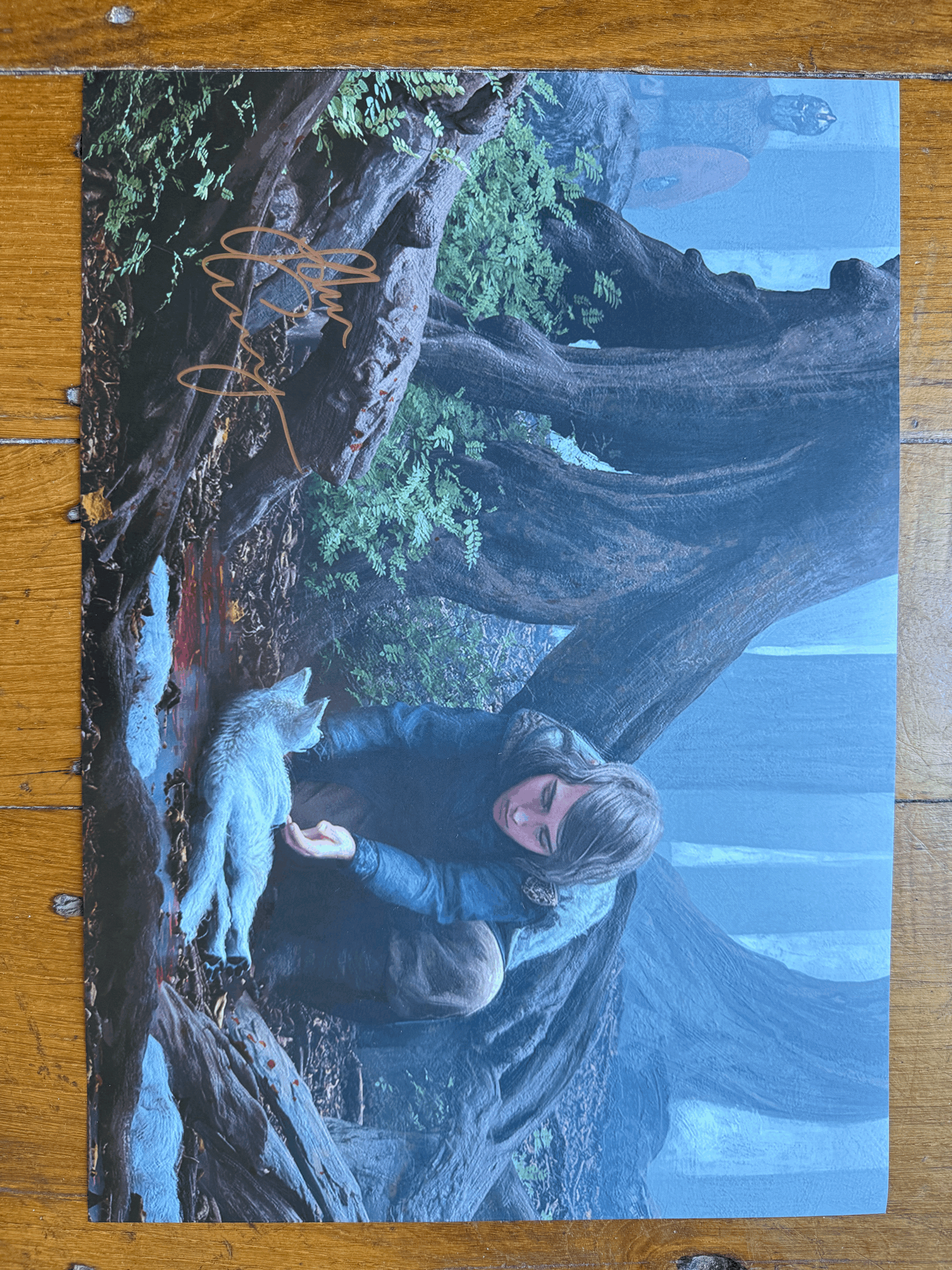 Corban Saving Storm Art Print