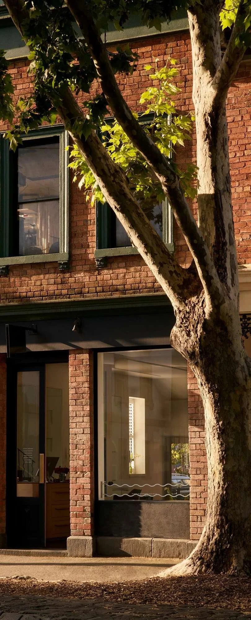 Sunlit exterior detail of Donna Sheridan Hair salon in Fitzroy, framed by large plane trees and warm natural light.