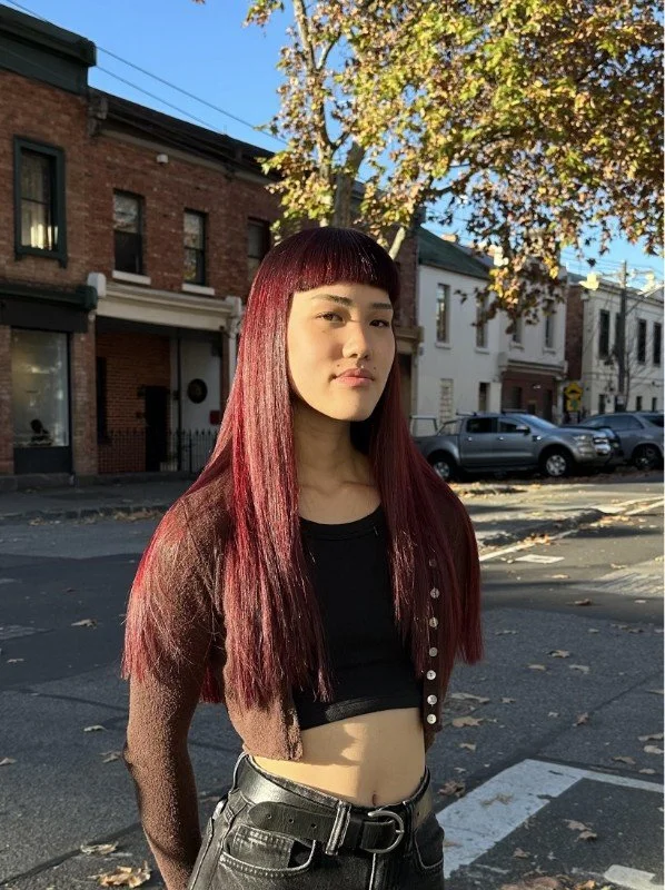 DSH-Journal-Hair Colour 1.jpg