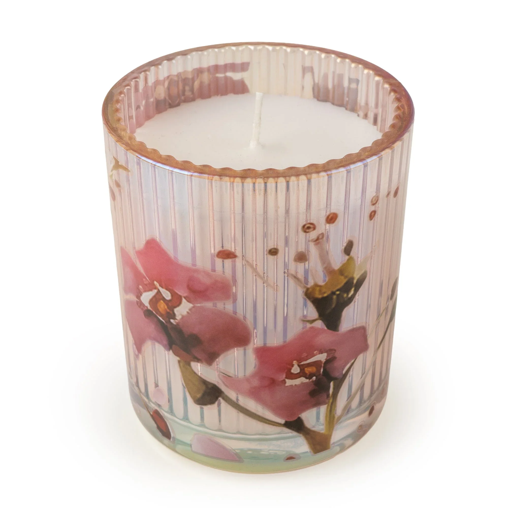 -candle-ridged-candle-agapanthus-cherry-fruit-6pk-1203208776_2000x.webp