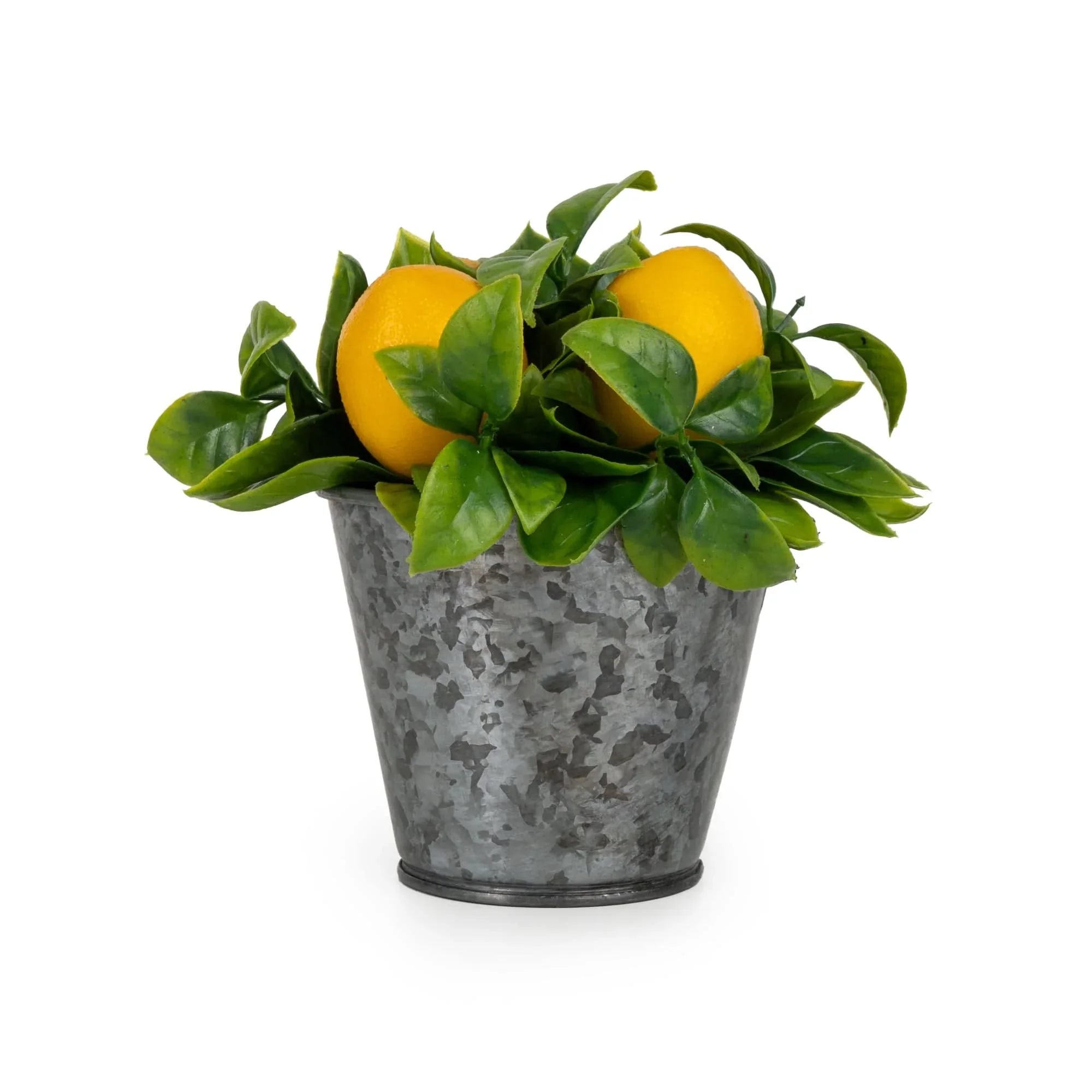 -15cm-oranges-in-tin-70414283800958_2000x.webp