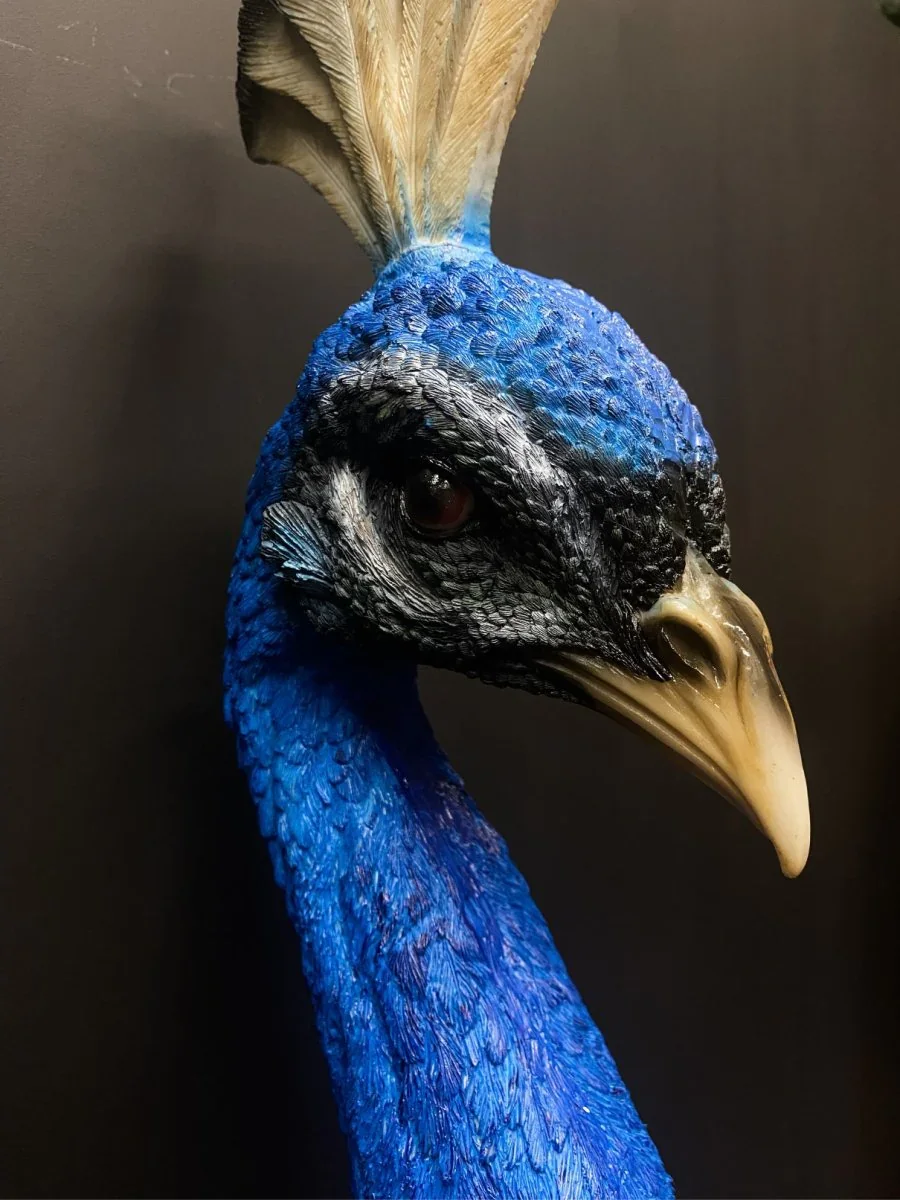 PEACOCK HEAD.webp