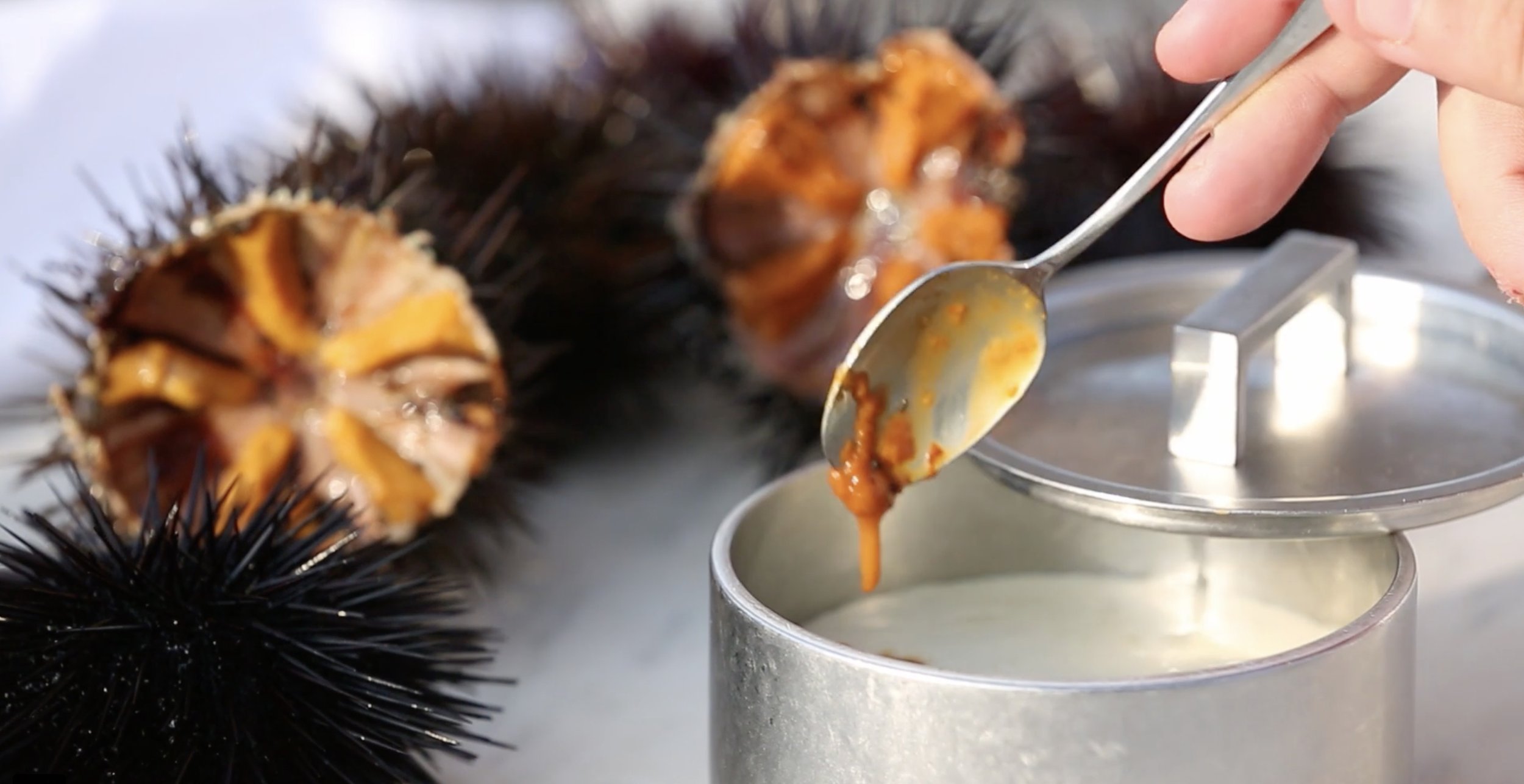 Close-up of a hand using tongs to place roasted sea urchins with orange filling into a metal container with a spoon of orange sauce.